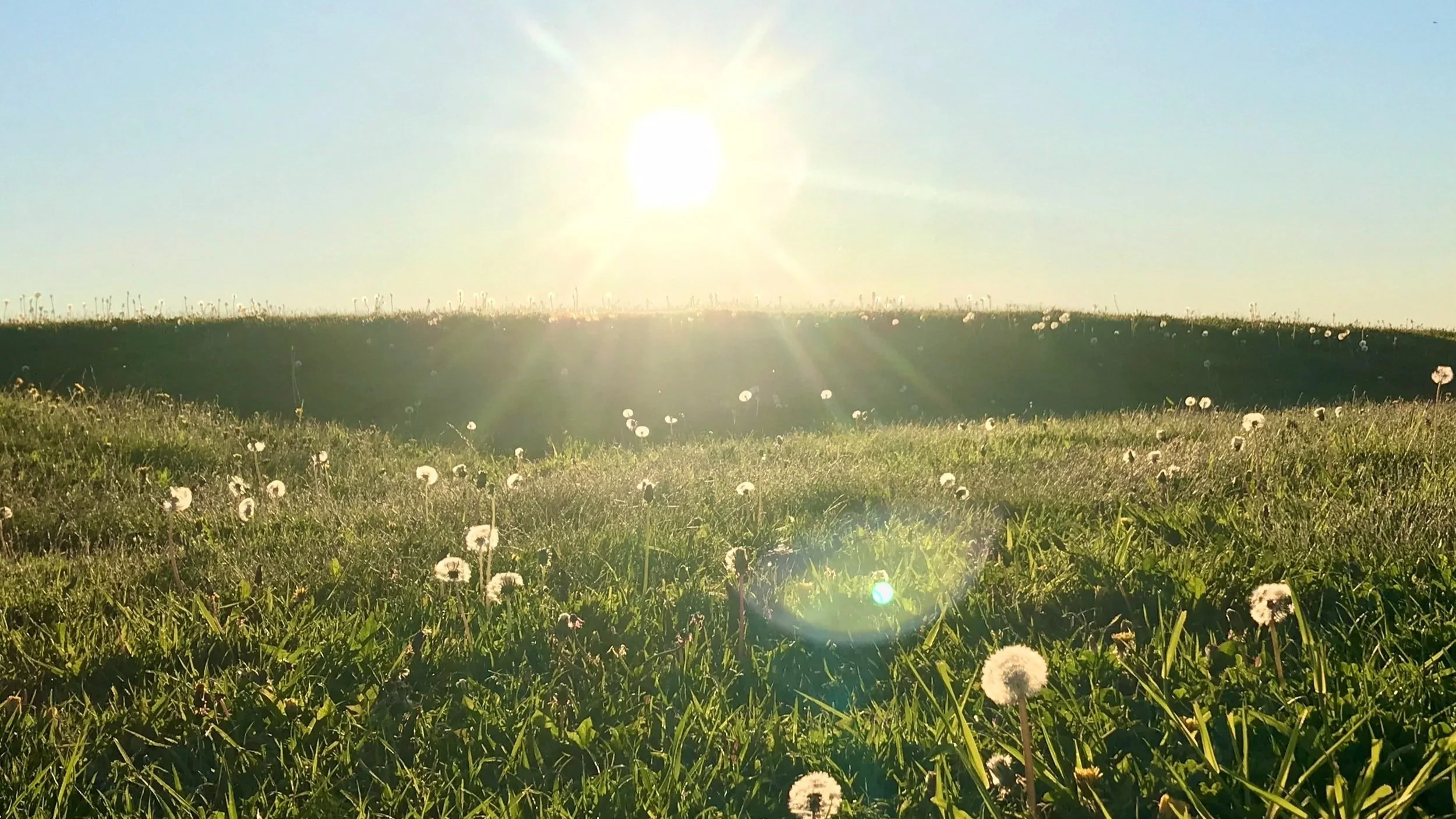 Fire Element: The Energy of Summer