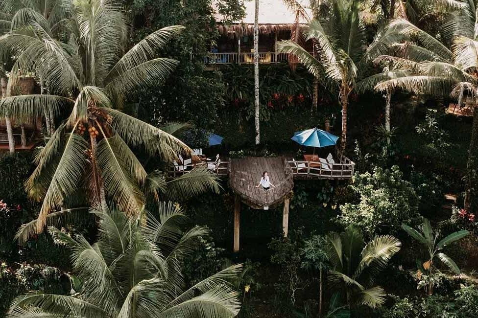 Viator Ubud Tour 7.jpg