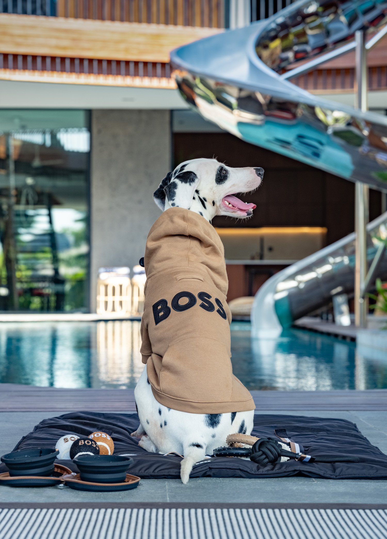 BOSS House_10_Dog_01.jpeg