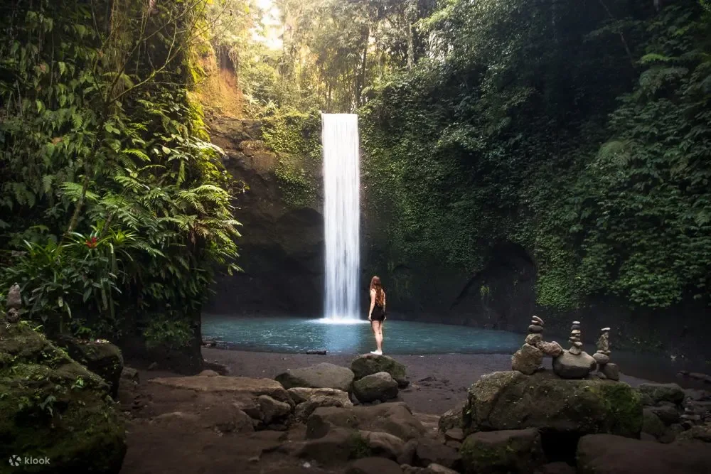 Private Ubud Tour 1.webp