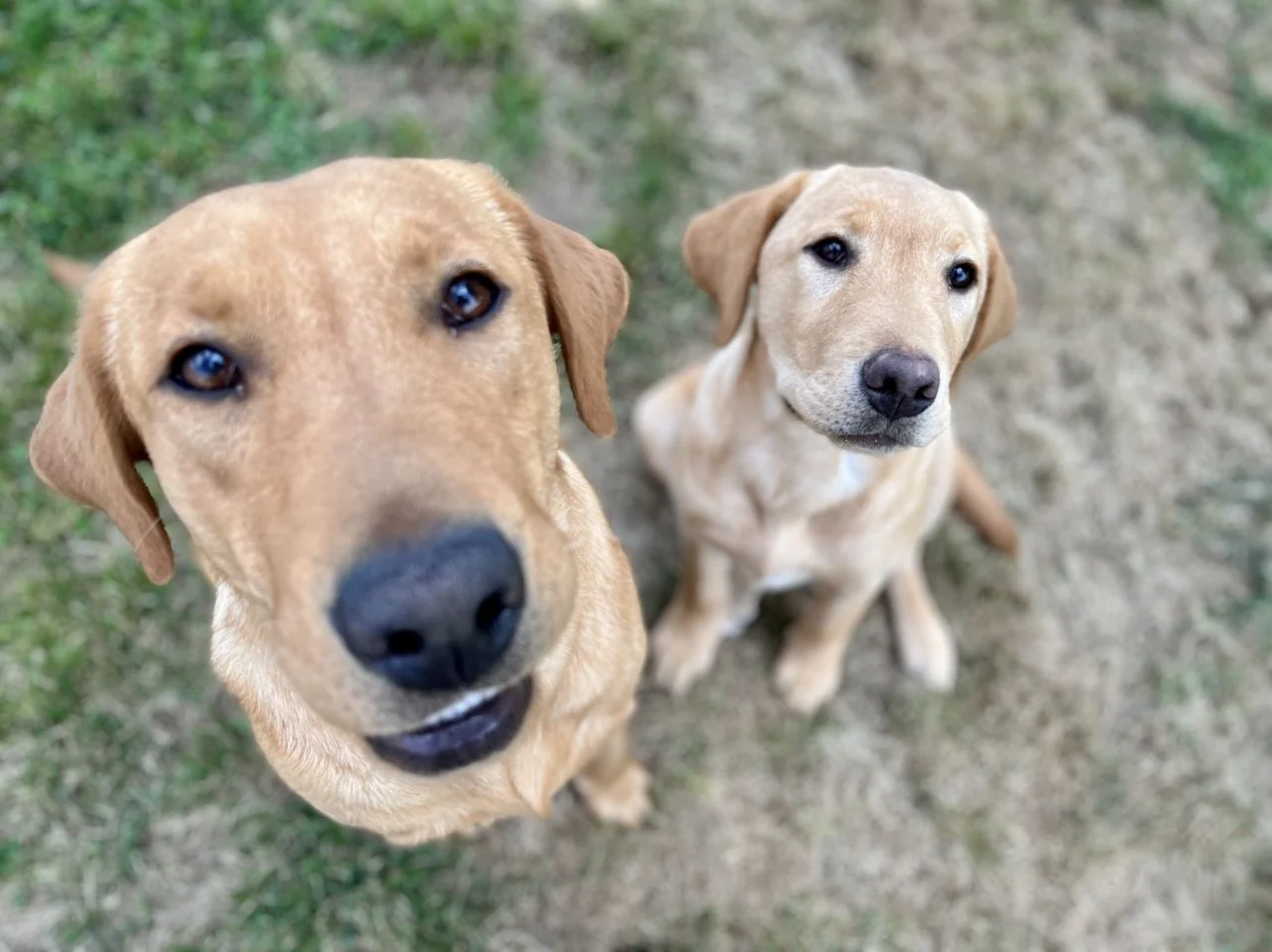 9rV4iWLimf0KLku4bA7I7q7W-Oyi1bNvHNlfEbF4O_keJxFPc.jfif