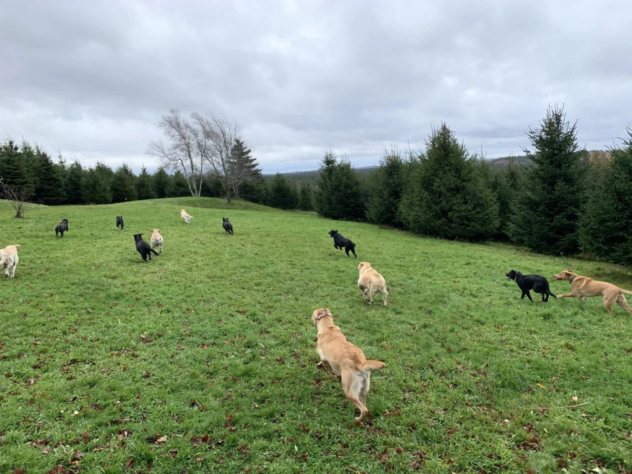 UmPsUYB9IIokwOzoMRMNvtcdnoqMmZoErZ5KLMRMww0eJxFPc.jfif