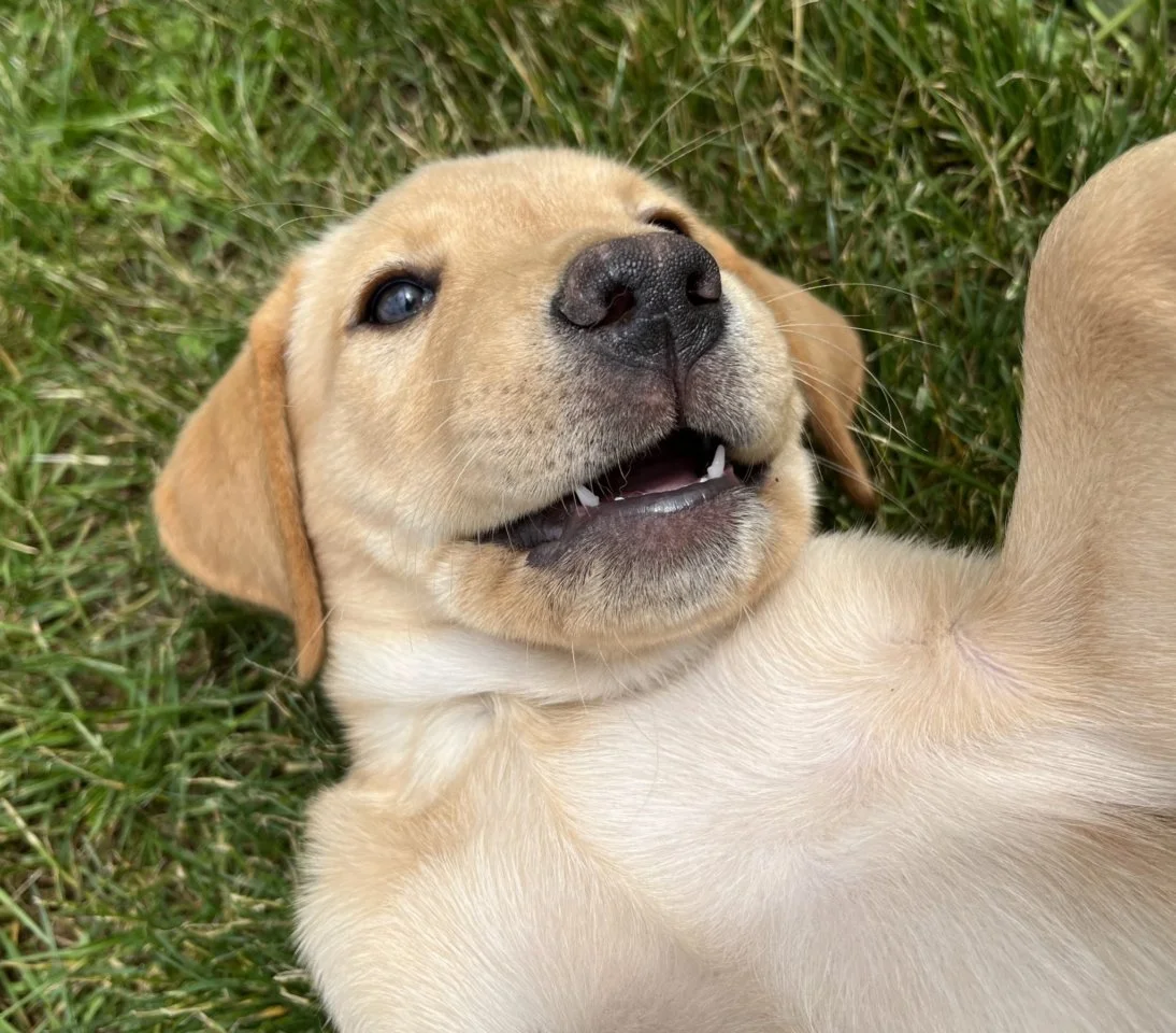 RNHpB3aAj8S8OJW9Sf9S2fvNvvzjSV2fNXDB9wk74ogeJxFPc.jfif