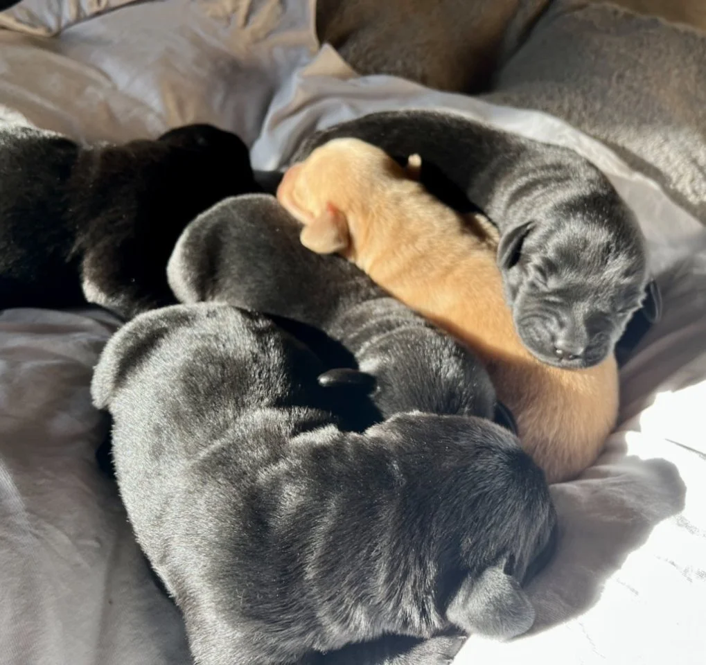 3sDXZy1xlGHbQLPpu21DZvGZtkpS_SEMu1ZeieFwgMIeJxFPc.jfif