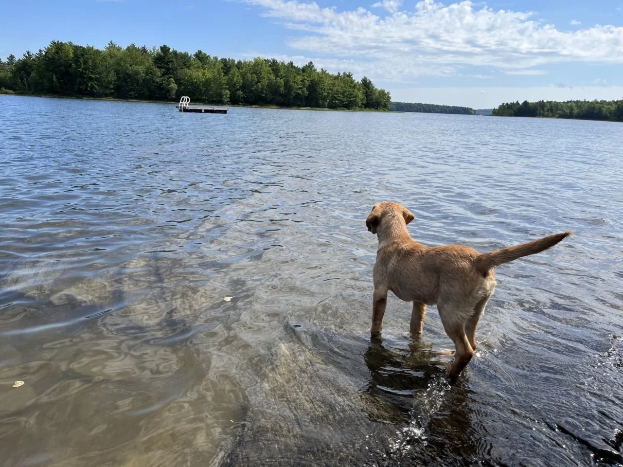 _-e0vJKDSfNAV-x5WpWPXdDIVjH9KfD5Lum1BLCveDceJxFPc.jfif