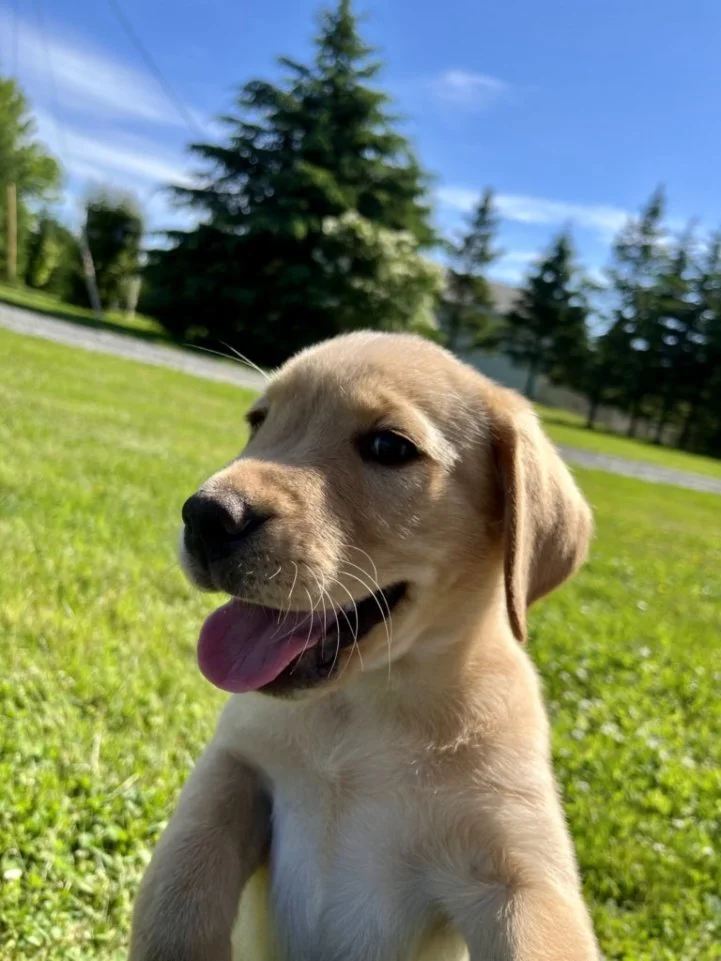 xyksx8vzV9NNpkg1JyP3FxU7G2D_GwpEBshp74BT5_0eJxFPc.jfif