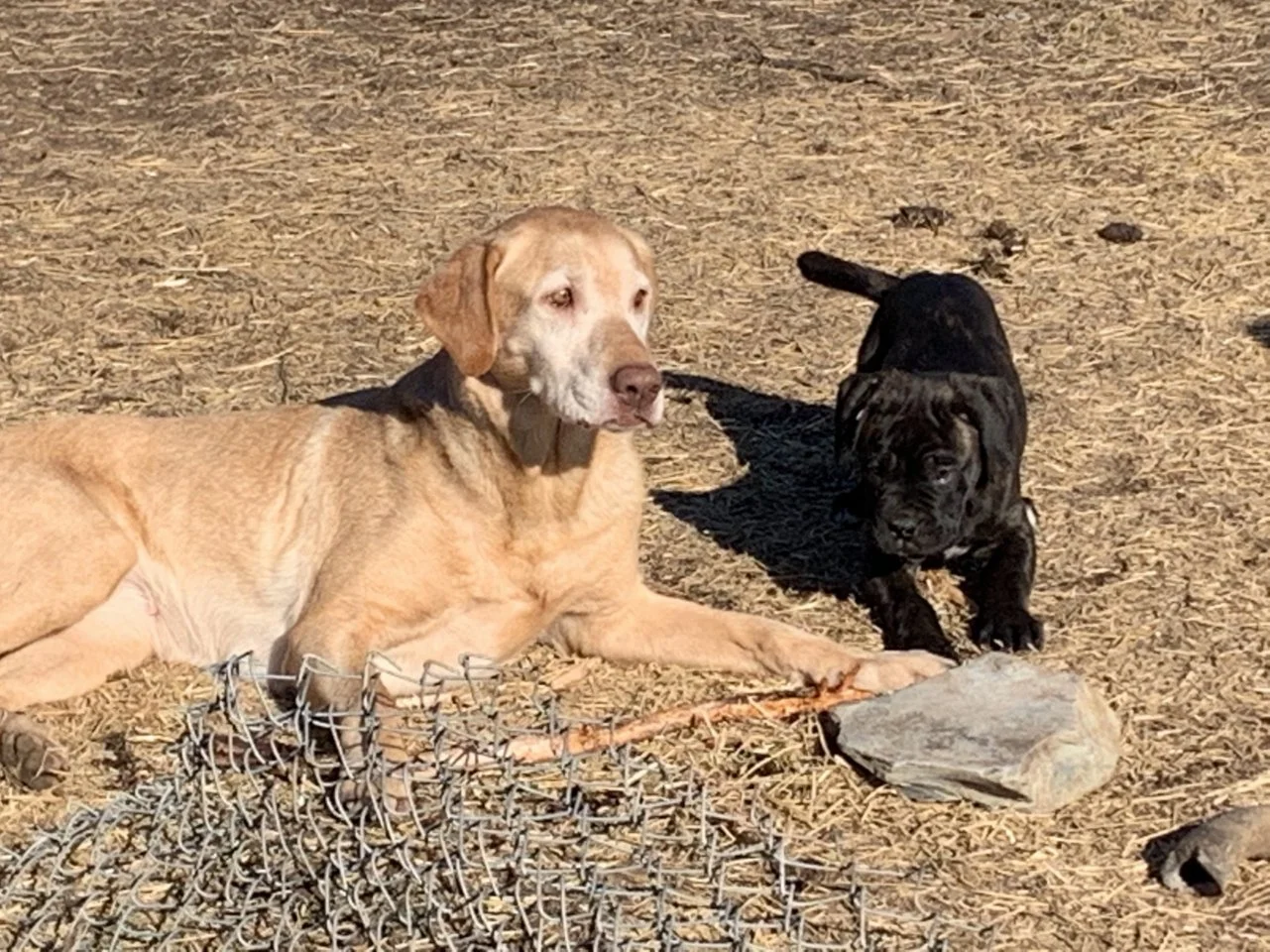 PZ41vQjHRb83otA6dZ9suktEkF1-aMygDtaXcOutxcceJxFPc.jfif