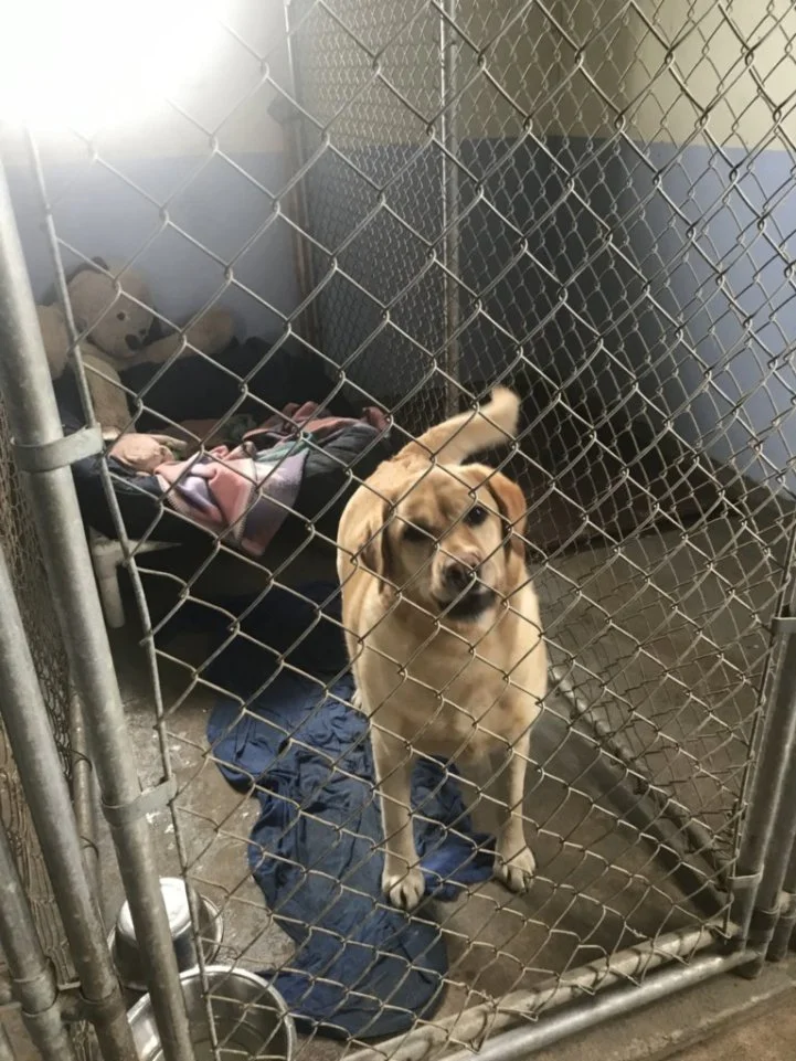 LjHyakR4sqmtwO5U_EBxnYMUuyRGvw2JQ_VR8uCZvHoeJxFPc.jfif