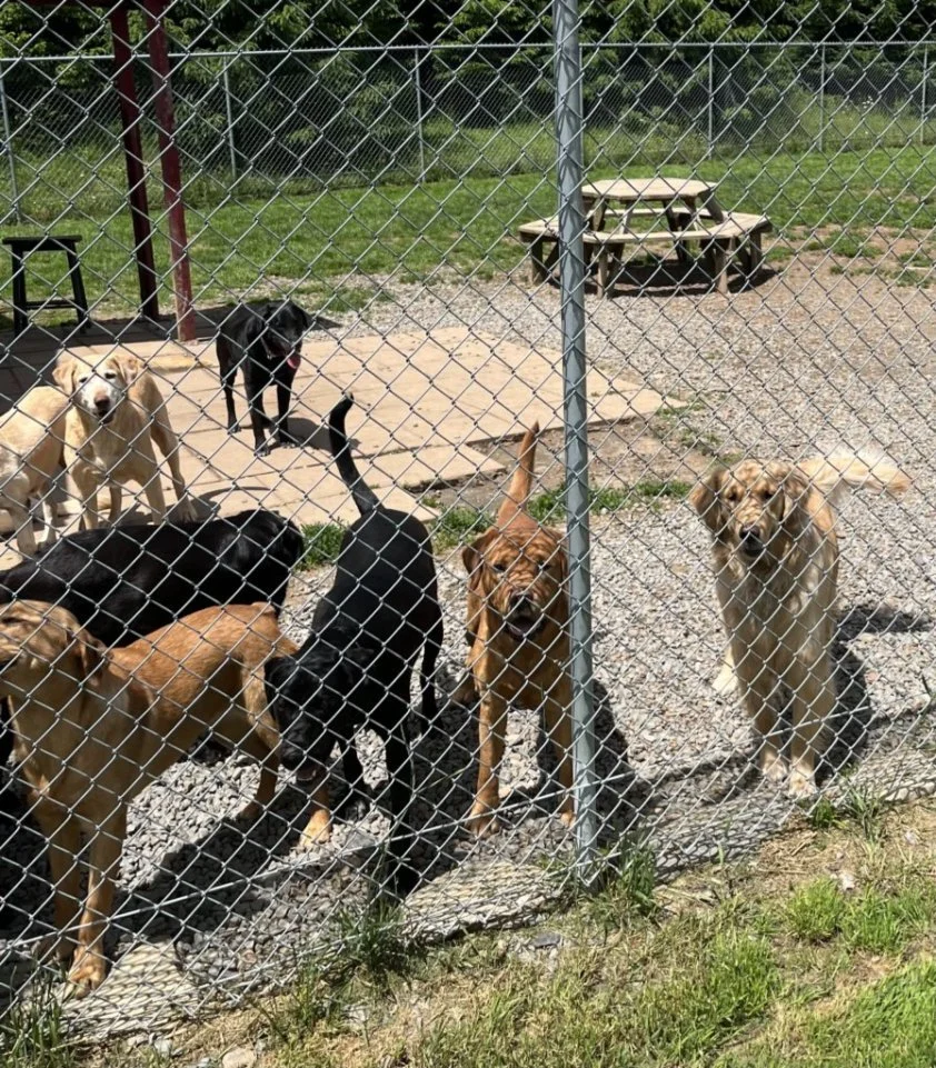 fP9UQeHn0sqD0dPWhapo6G9Ava1uN8ZqabpNZg-Bah0eJxFPc.jfif