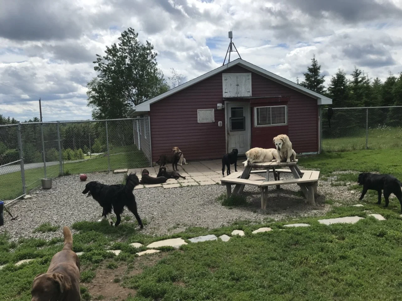 0UR66Ma8WHUM0wRaue3cVtbxe1-i22IzOTf1aofX7kQeJxFPc.jfif