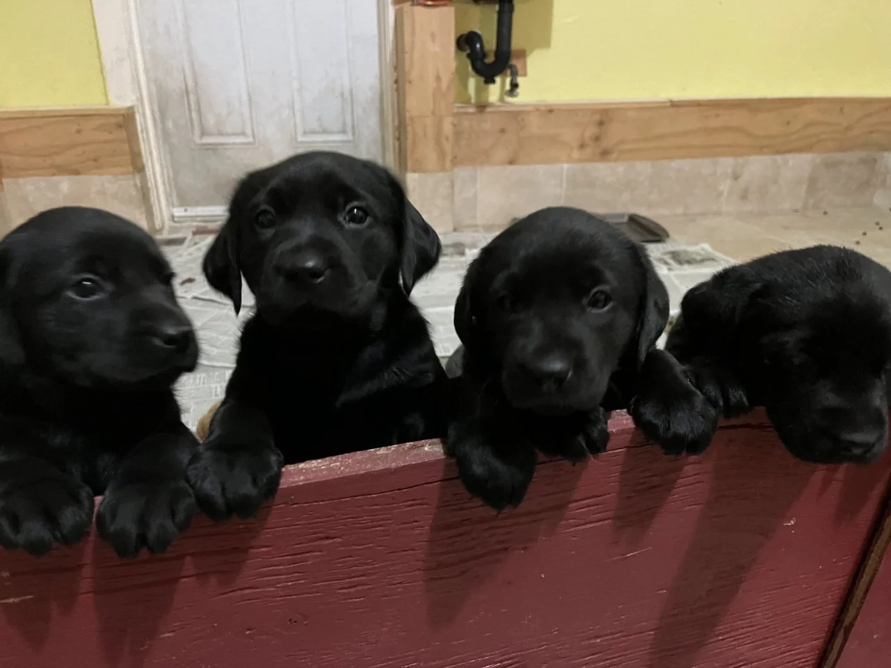 0_ekLLIzlrCjsiC-Nvw71cJAG_-JKInYYezQMfsQH3ceJxFPc.jfif