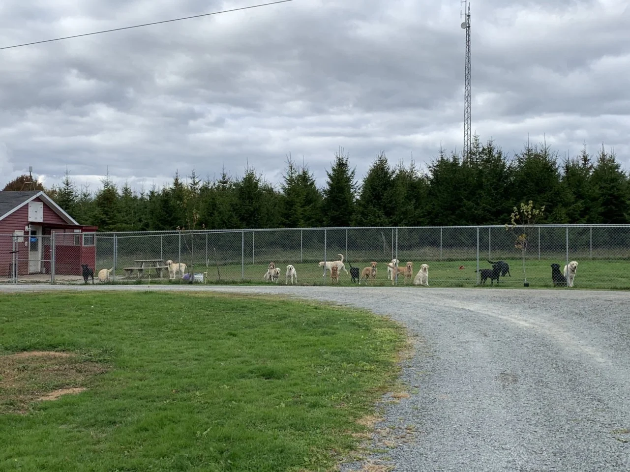 LZCPDmPf3hYiaP3XY3I1MYX5VRqNjNNz-K69eBATGoceJxFPc.jfif