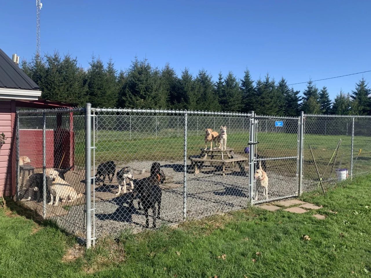 KMB29nQSLWChPT9UYYqpQS_EekZRTi_JJrCNZrYkySUeJxFPc.jfif