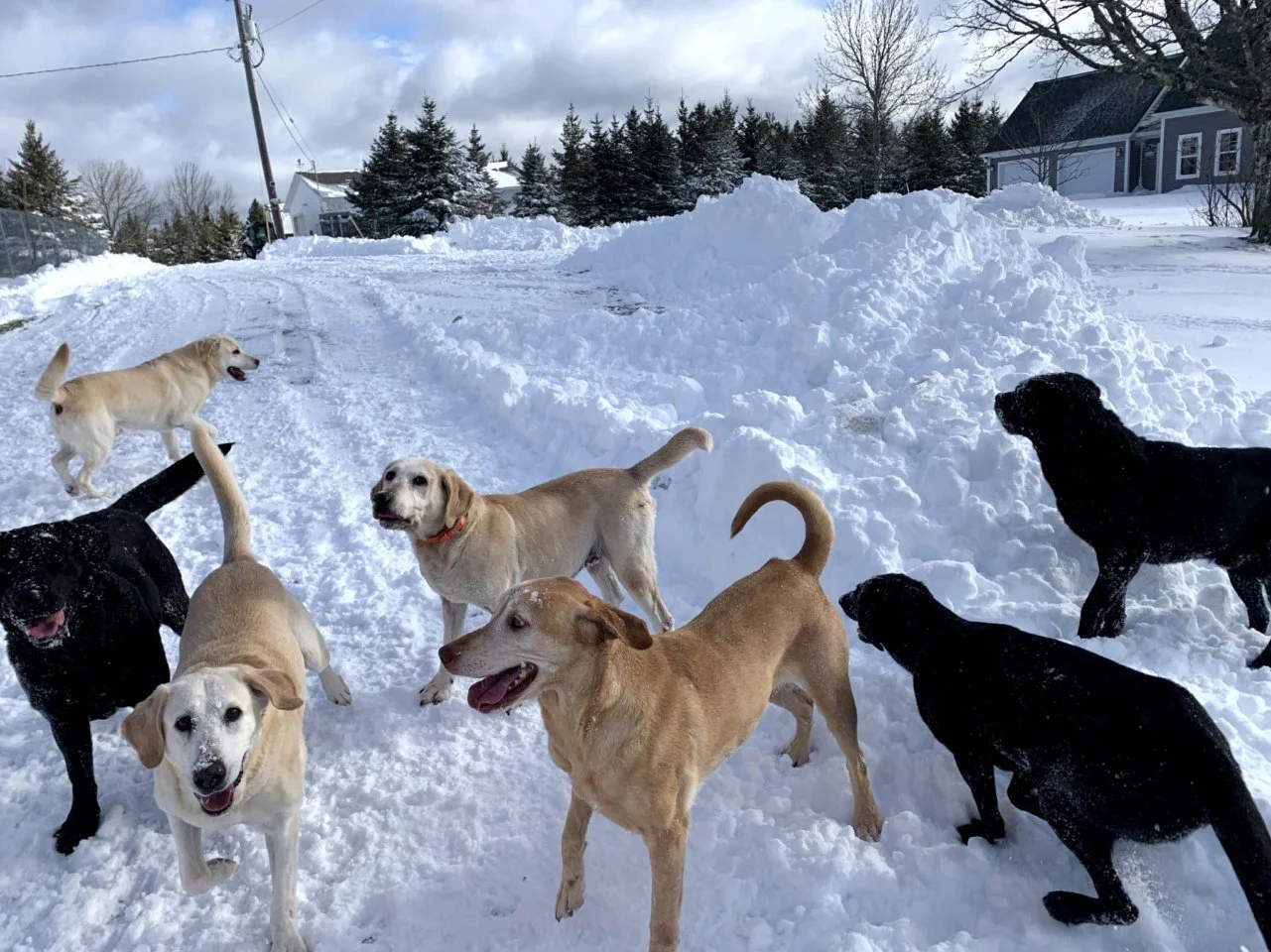 1XM77jyhSWMCuohFPEv0ndWcI4ryXds06p-576OaIDQeJxFPc.jfif