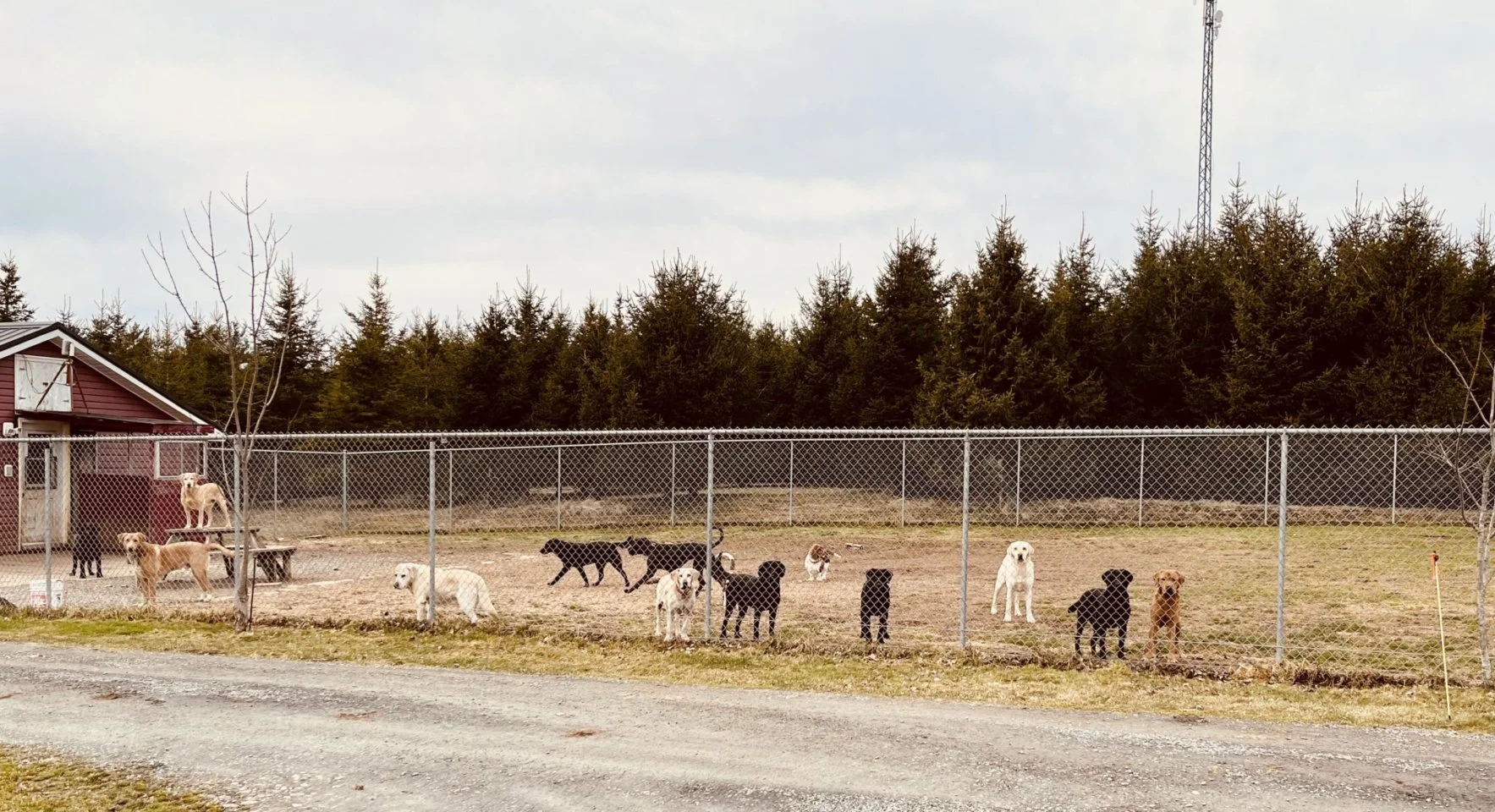 GhZC1yJu-bXkIOmzx1bVIW0bCd25I6WpBVE1Y8wwM6seJxFPc.jfif