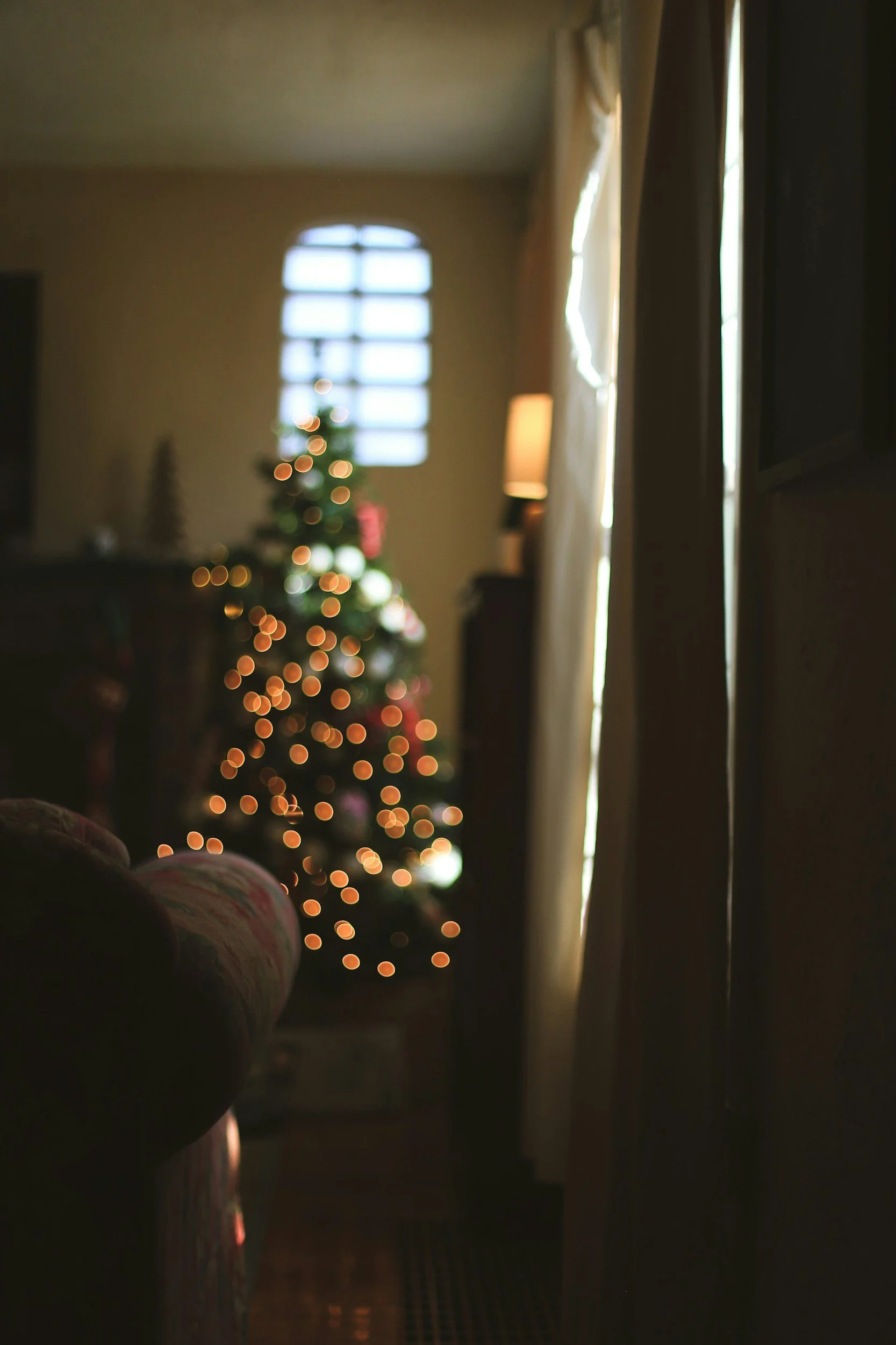 Navigating Grief During the Holidays