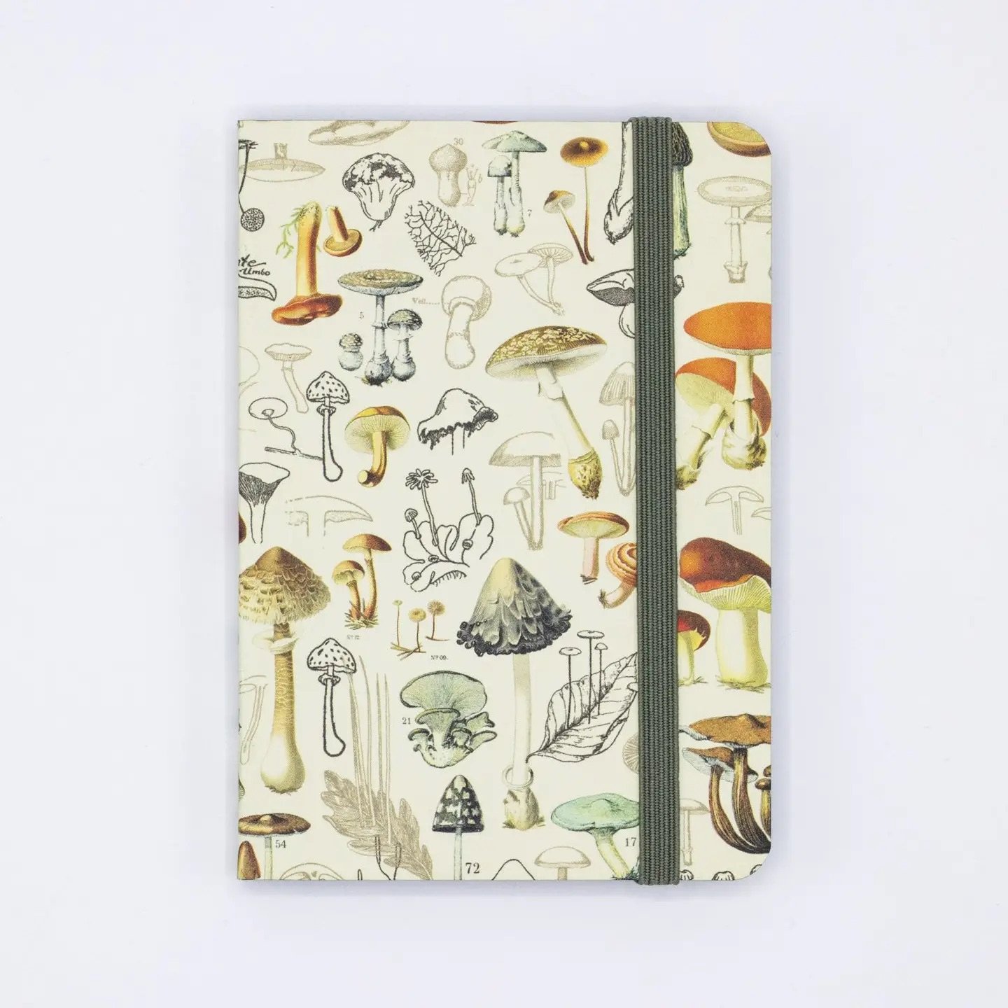Woodland Mushrooms Observation Softcover