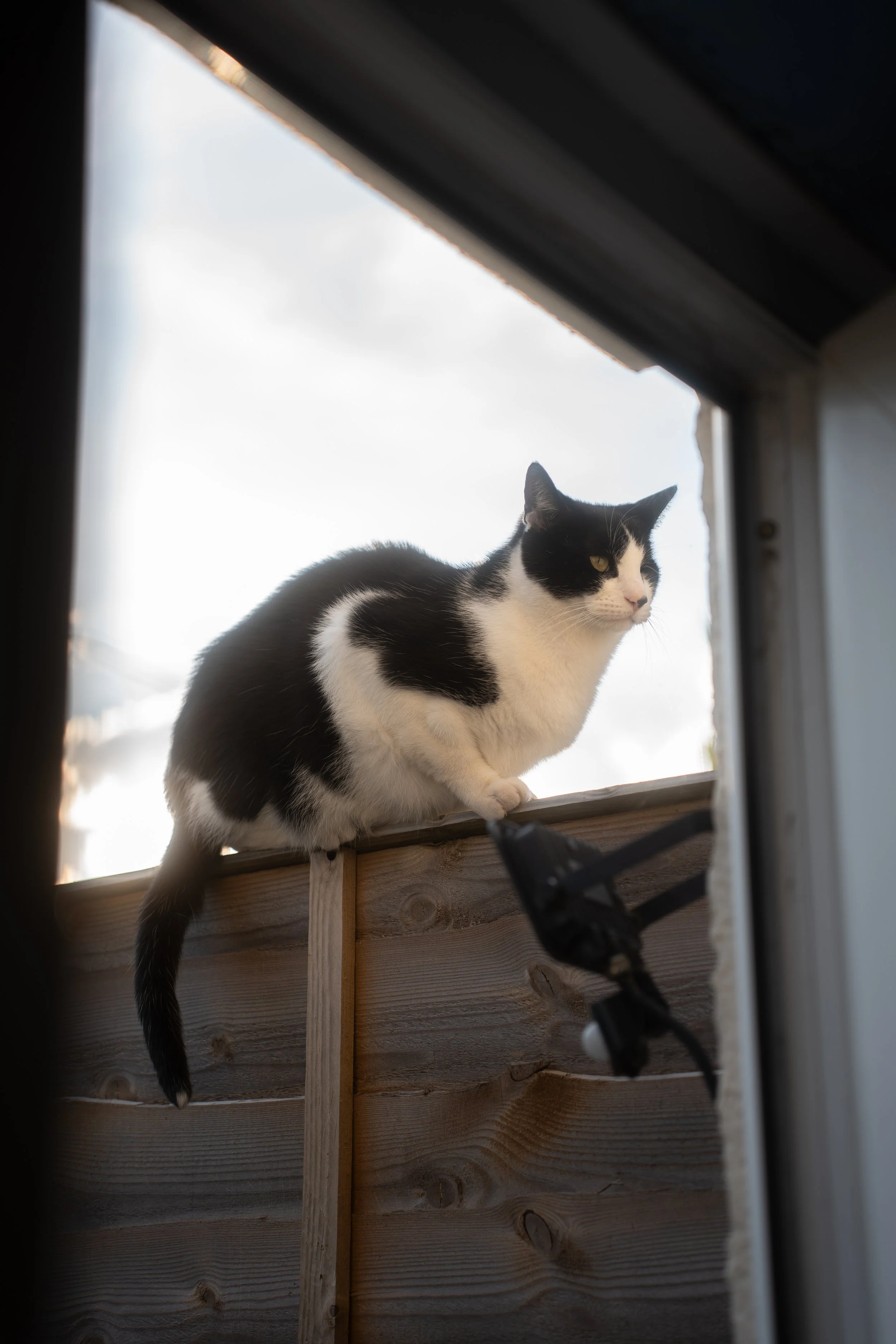 A7400002.jpg