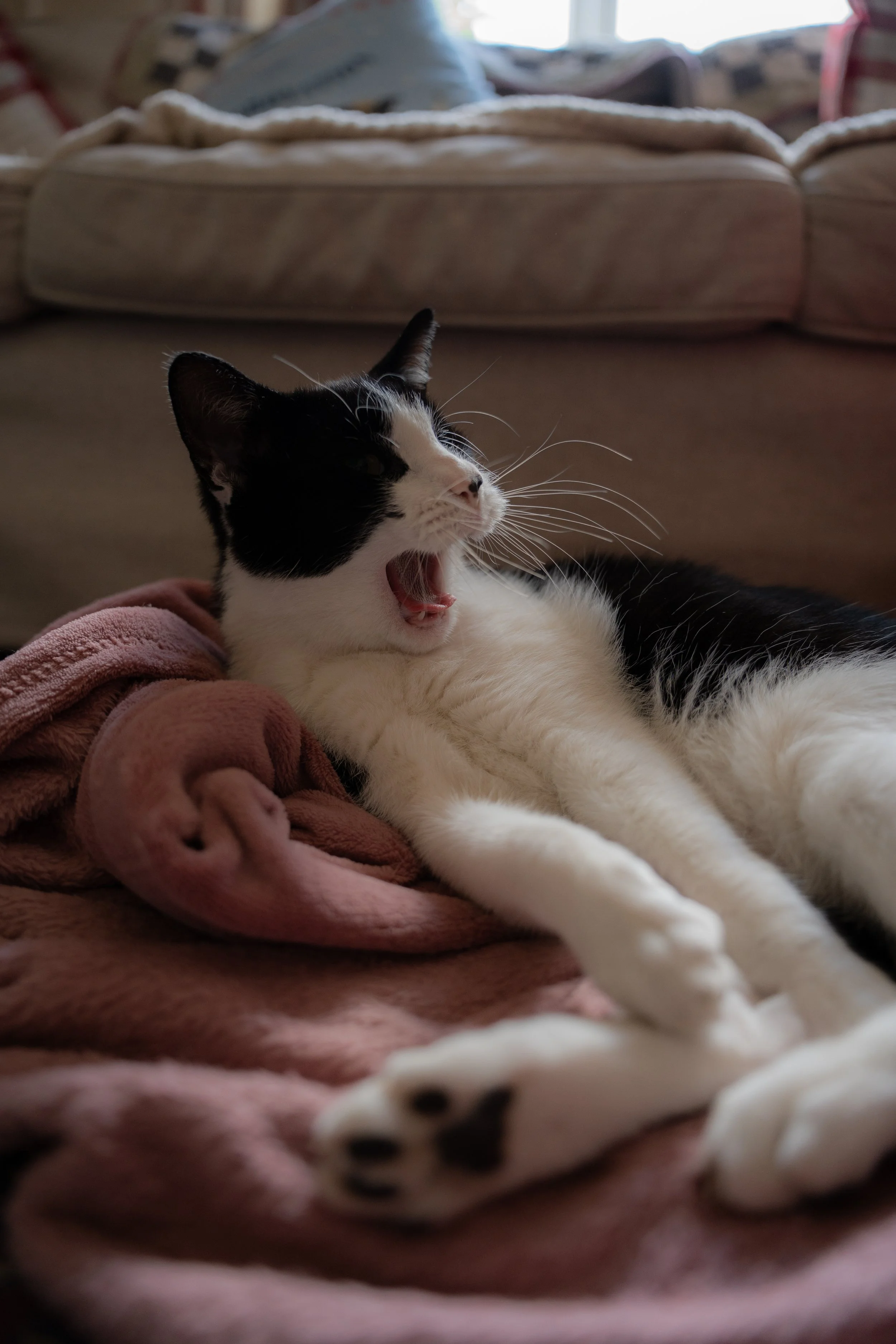 A7400009.jpg
