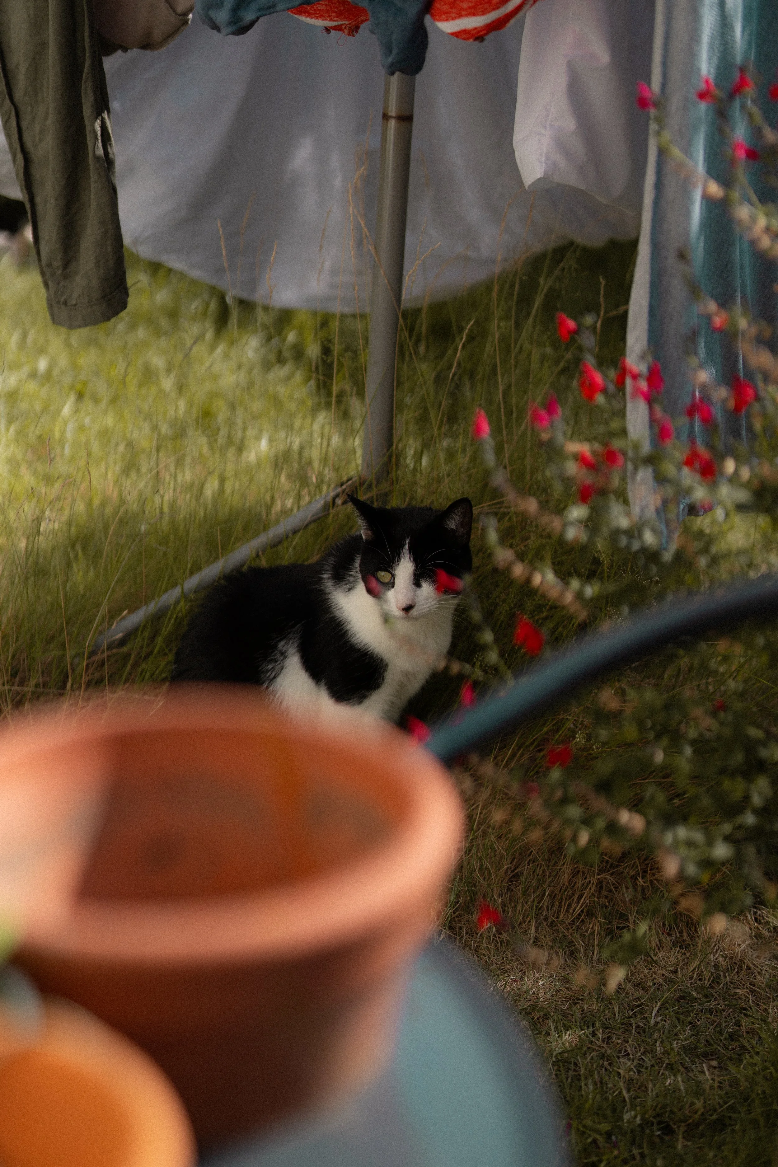 A6700141.jpg