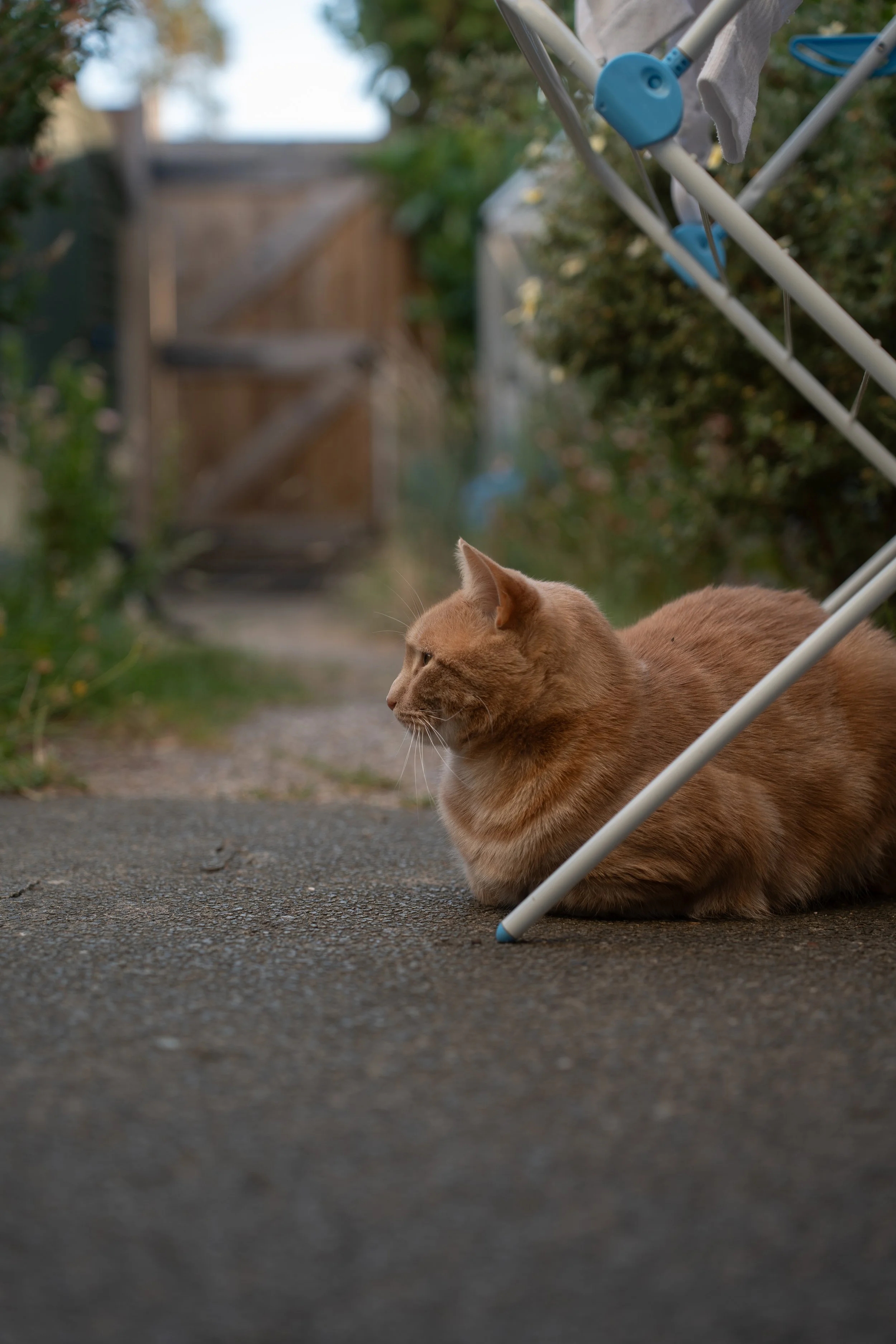 A7400022.jpg