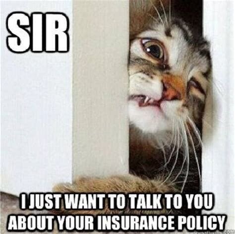 Sir. Sir. We wanna talk about cheaper rates! 

#insurance #rates #policy #insurancepolicy #cat