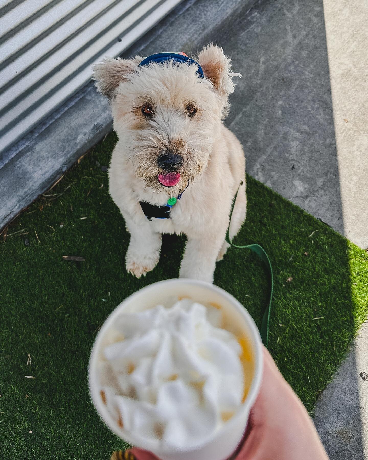 Happy National Kids and Pets Day from our kids and pets at Bradley Insurance! 

Show us your kids and/or pets in the comments to celebrate! 

#nationalkidsandpetsday #nationalday #kids #pets #celebrate #insurance