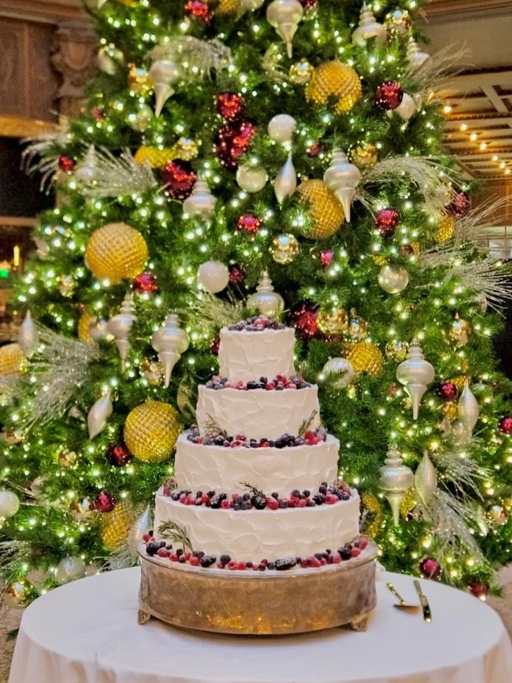 a very merry wedding cake Monday💍🍰❄️