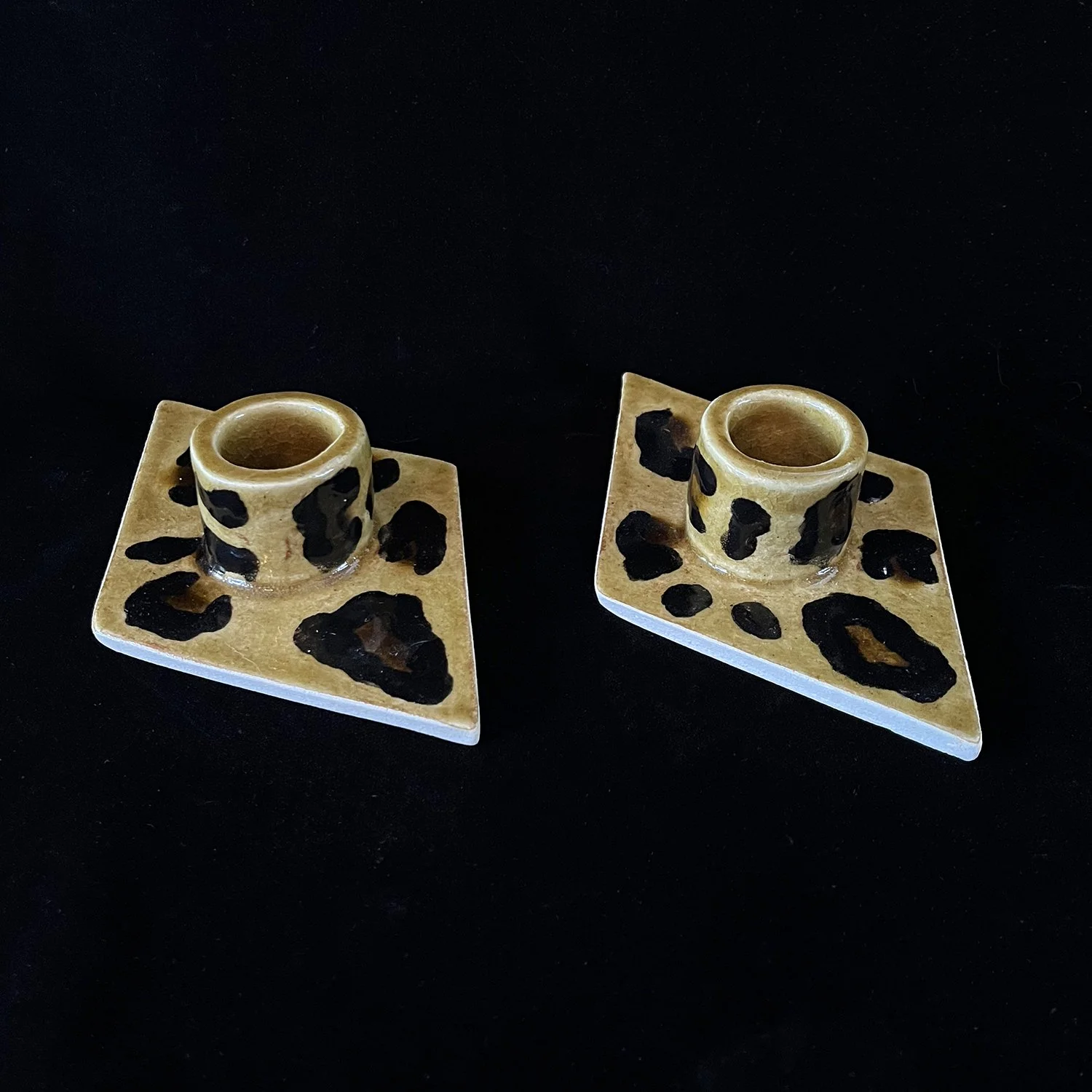 IMG_2846 leopard.jpg