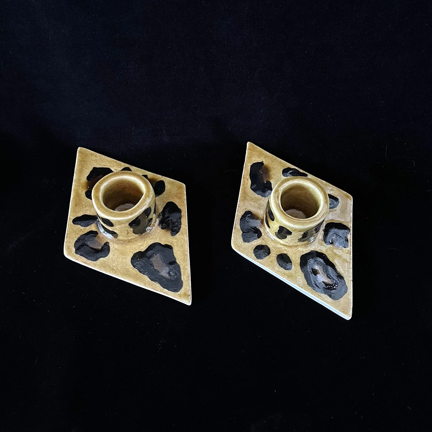 IMG_2847 leopard.jpg