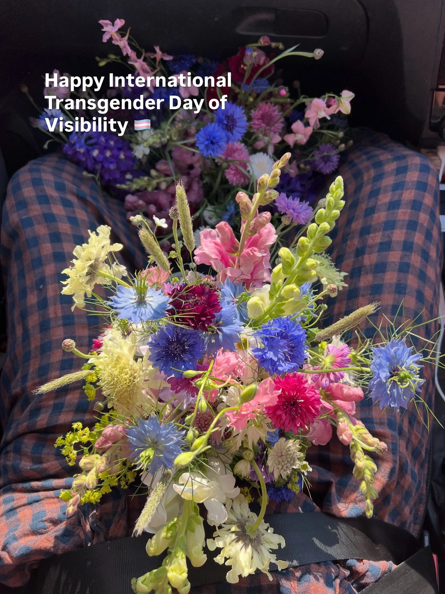 Look after your trans and non-binary pals, celebrate their wins and protect them against violence and harm. Trans people fought for many hard won rights for those of us in the LGBTQIA+ community, and so we must stand alongside them at a time when oth