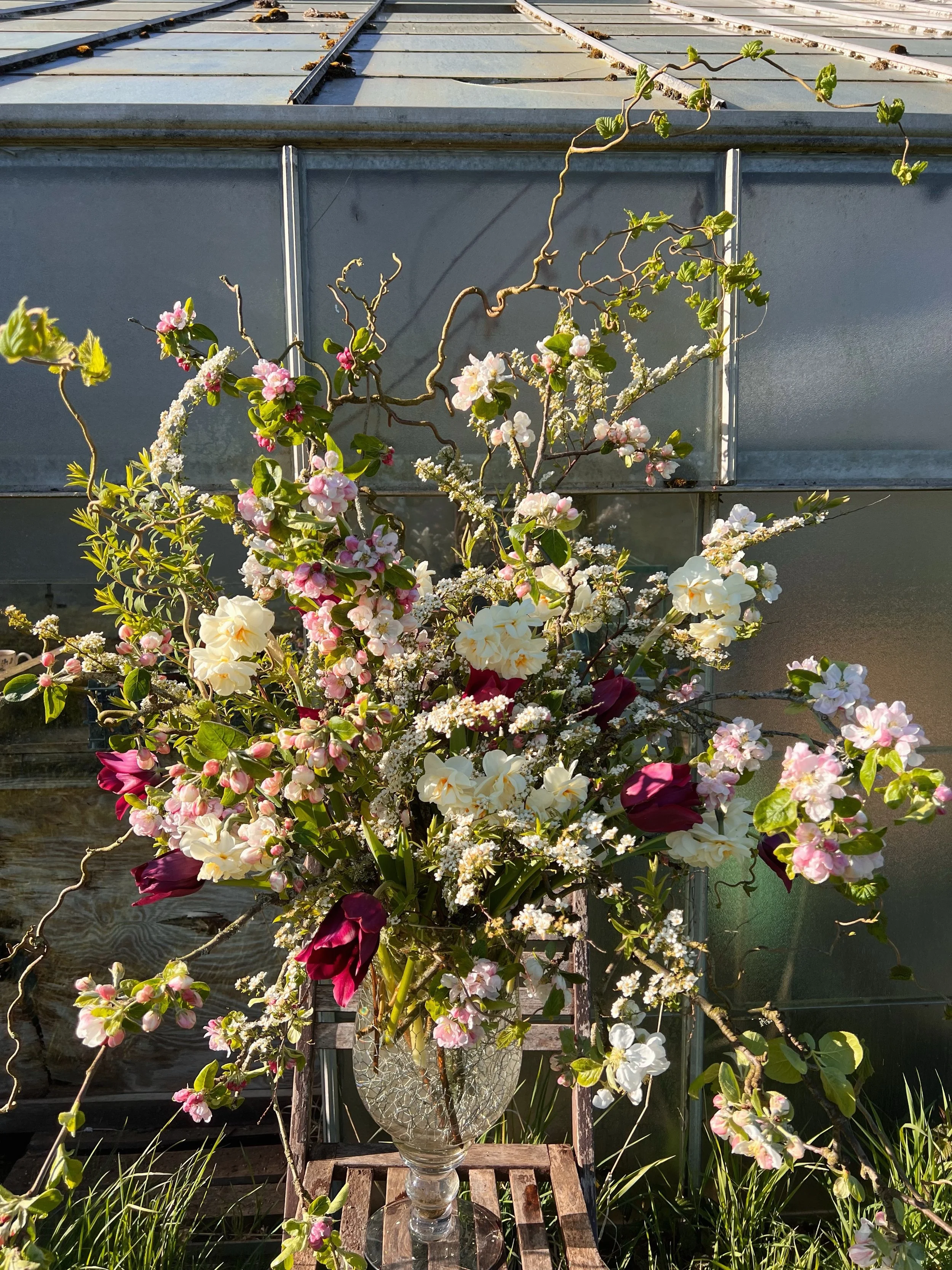 Inspired by @ceciliafox beautiful new book Pretty Dirty (PR), I spent some time this evening whipping up a rambunctious floral urn from Apple blossom and narcissi and tulips and twisted hazel. 

Imagine walking down the aisle frames by two of these ?