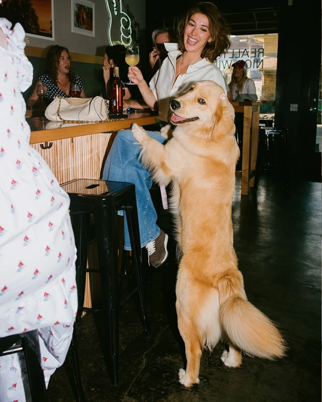 are these the dog days? not so bad, tbh 🐶 🥁 anyway . . . we have fun. come thru! tasting tonite w @knapsgregory @artisanfinewines 5-7PM + as always F R E E 🤸&zwj;♂️ 
📸 @ladymadrama