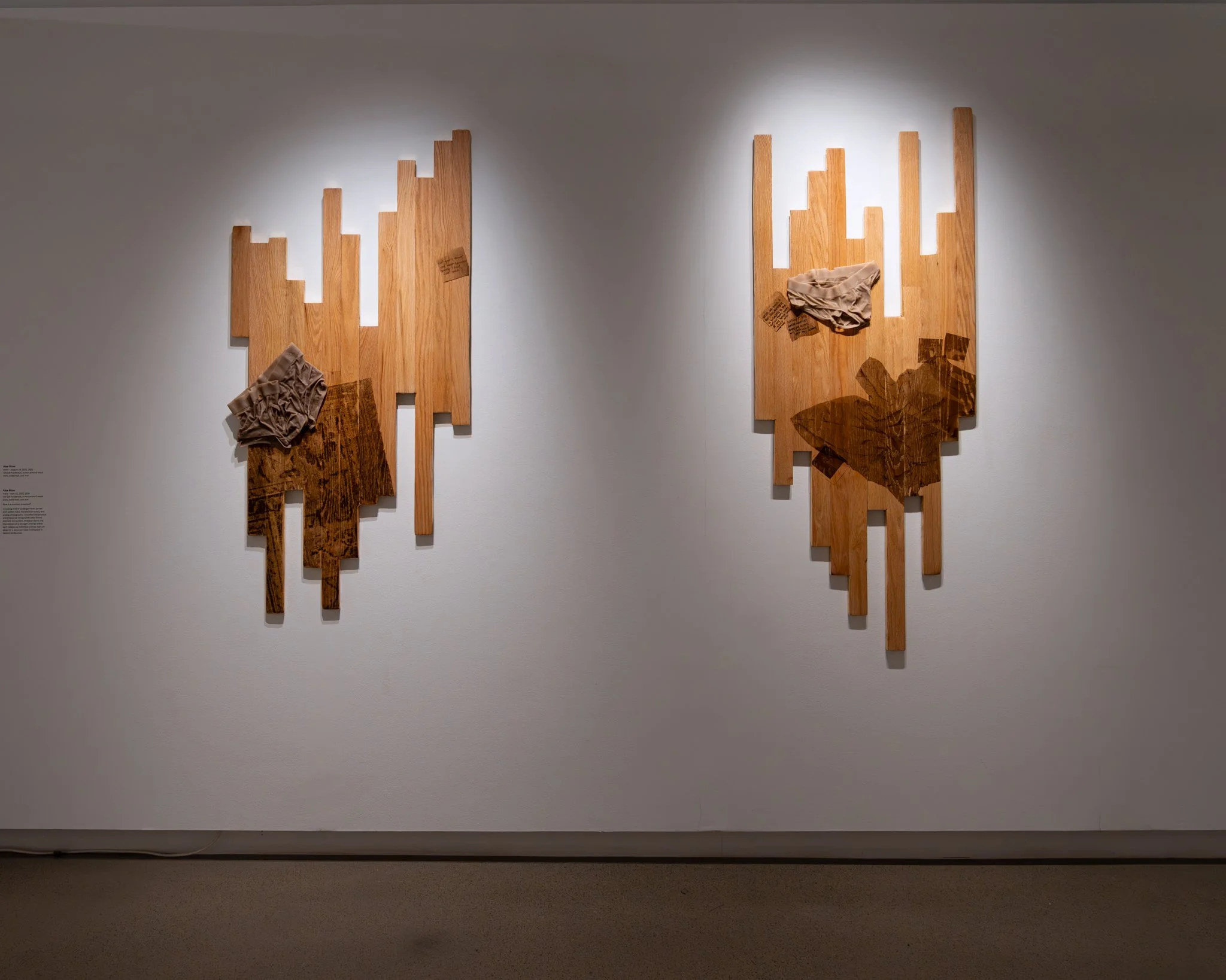 (L-R) 𝘥𝘺𝘭𝘢𝘯 – 𝘢𝘶𝘨𝘶𝘴𝘵 14, 2025 and 𝘮𝘢𝘳𝘴 - 𝘮𝘢𝘺 15, 2025. installation view. 