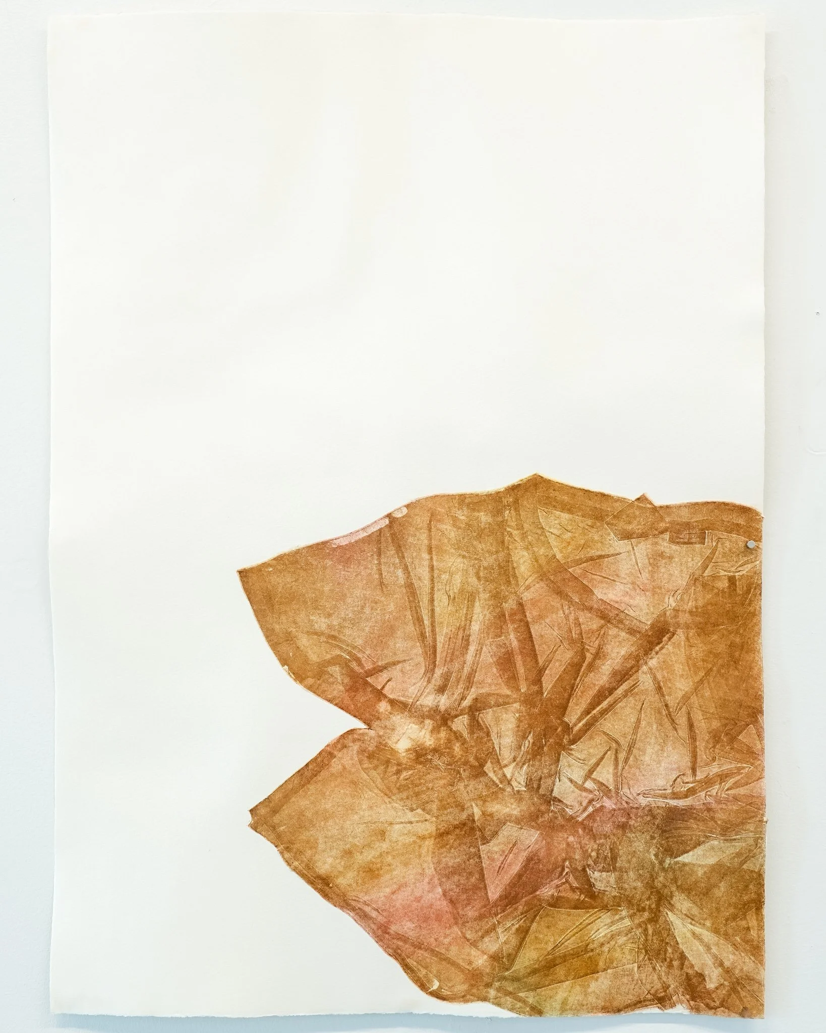 𝘭𝘶𝘤𝘢𝘴 (𝘐𝘐𝘭) - from the series 𝘴𝘦𝘭𝘧 𝘱𝘰𝘳𝘵𝘳𝘢𝘪𝘵 𝘸𝘪𝘵𝘩 𝘭𝘶𝘤𝘢𝘴. 2026. soft ground etching on hahnemuhle copperplate; spit bite aquatint, a la poupee on mulberry paper chine-colle. 22" x 30".