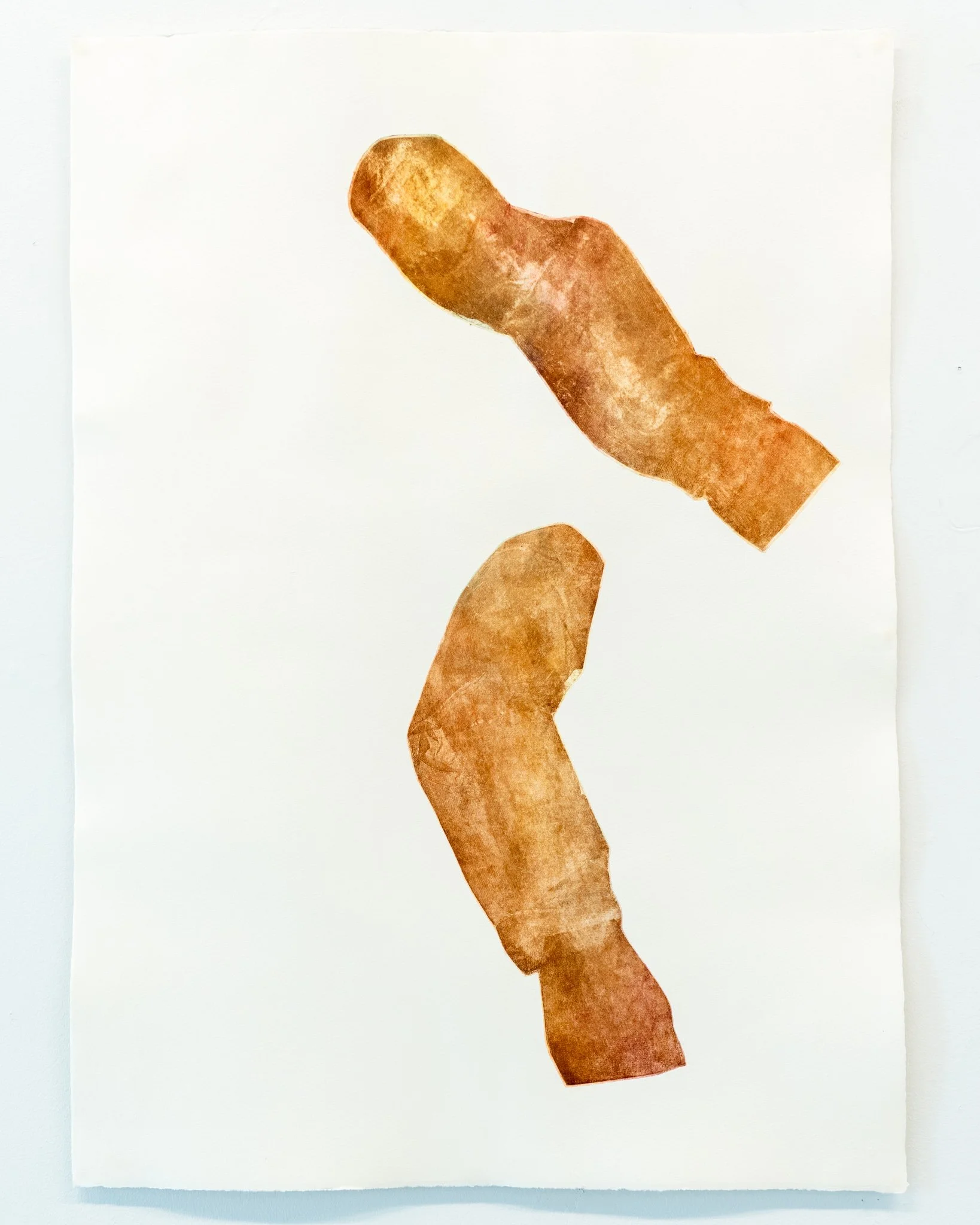 𝘭𝘶𝘤𝘢𝘴 (𝘐𝘐) - from the series 𝘴𝘦𝘭𝘧 𝘱𝘰𝘳𝘵𝘳𝘢𝘪𝘵 𝘸𝘪𝘵𝘩 𝘭𝘶𝘤𝘢𝘴. 2026. soft ground etching on hahnemuhle copperplate; spit bite aquatint, a la poupee on mulberry paper chine-colle. 22" x 30".