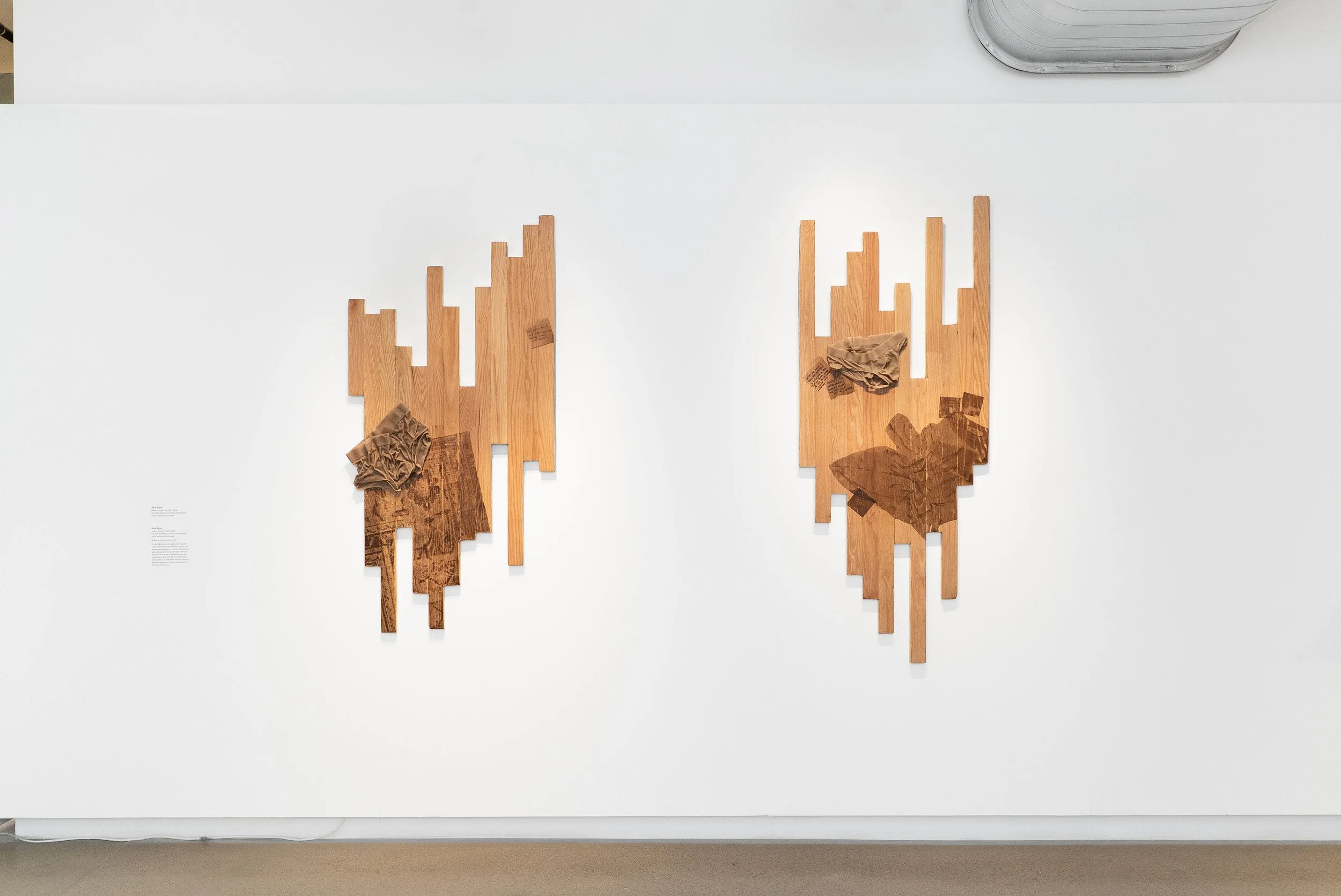 𝘥𝘺𝘭𝘢𝘯 - 𝘢𝘶𝘨𝘶𝘴𝘵 14, 2025 (left) and 𝘮𝘢𝘳𝘴 - 𝘮𝘢𝘺 15, 2025