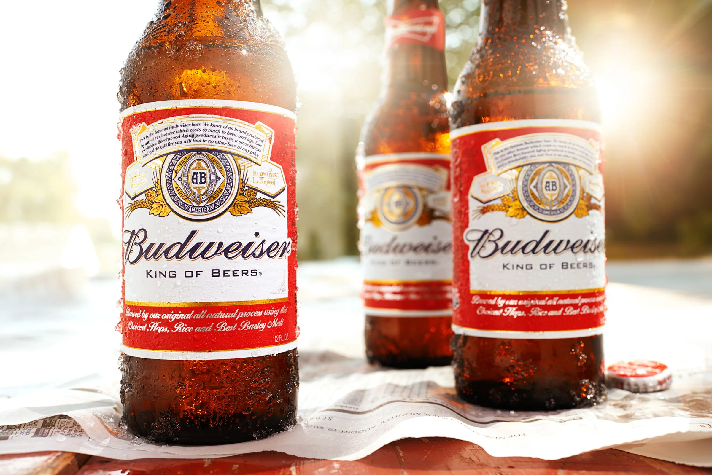 Bud_Boil_1.jpg