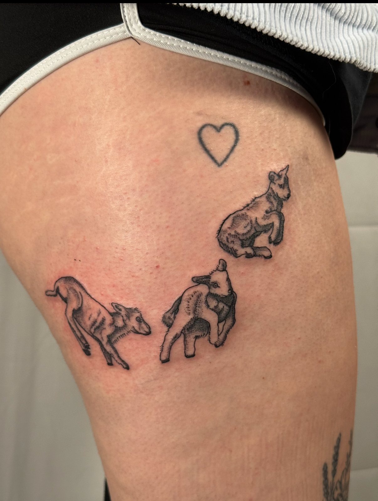 Tattoo of three baby goats and a heart on person's upper thigh.