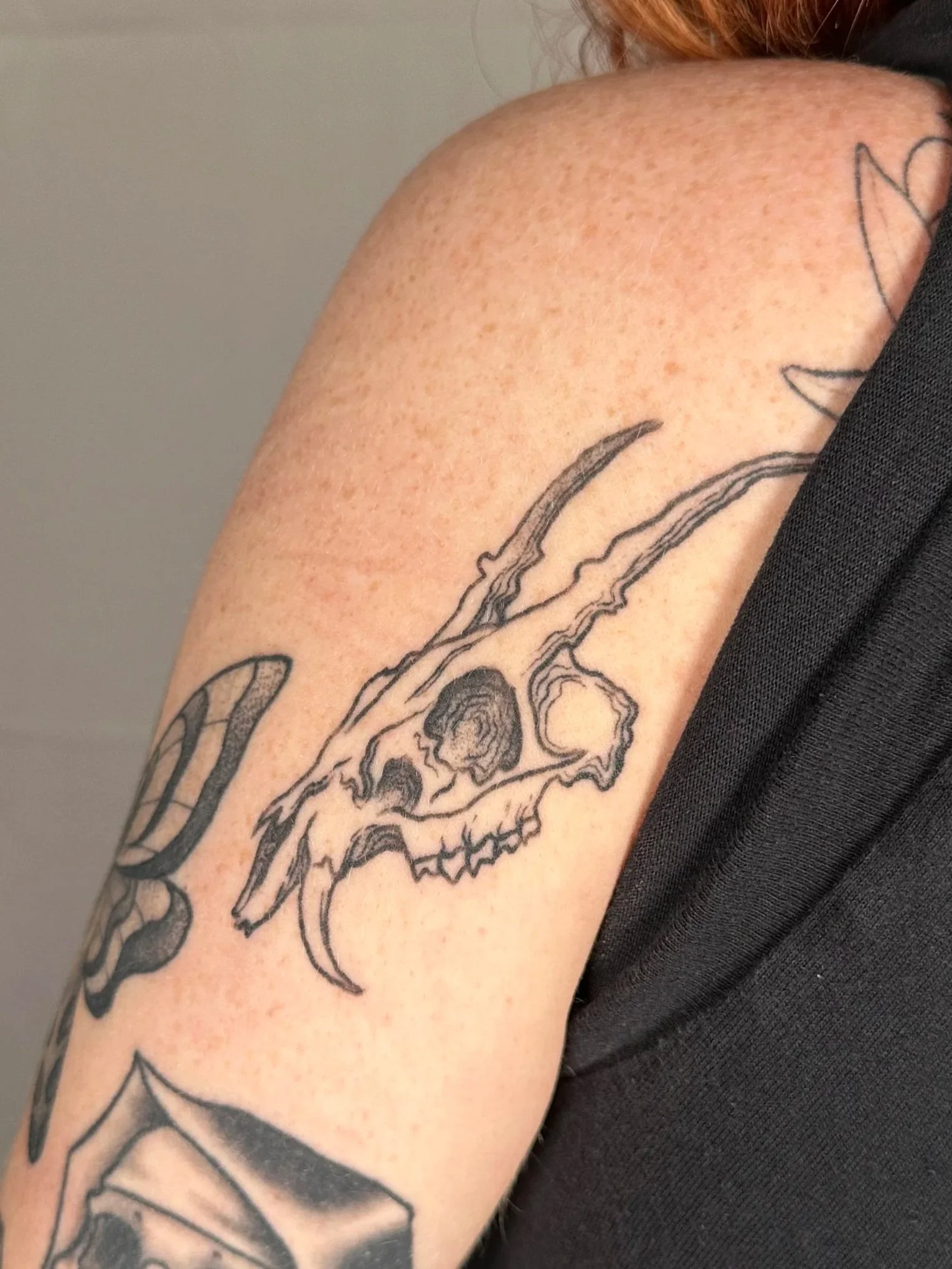 Tattoo of a skull with a bunny or rabbit skull design on the person's upper arm.