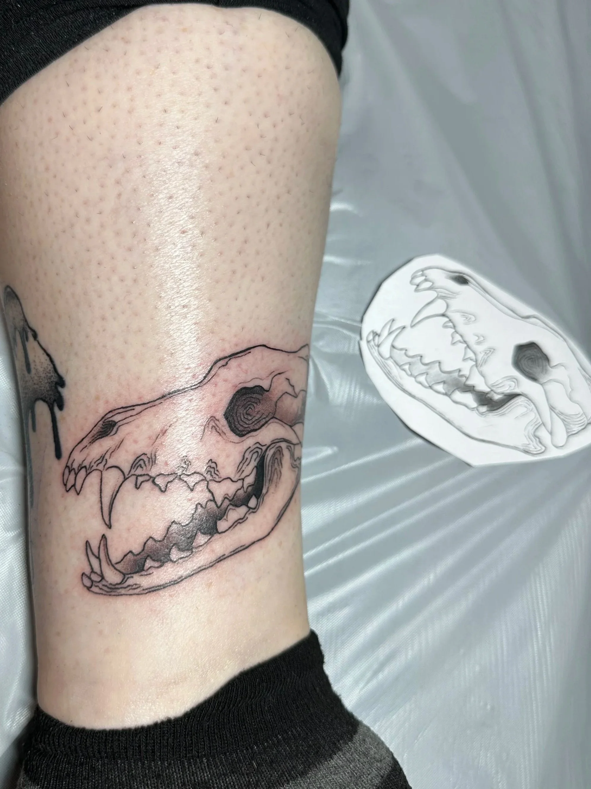 Tattoo of a dinosaur skull on a person's leg, with a stencil of the design next to it.