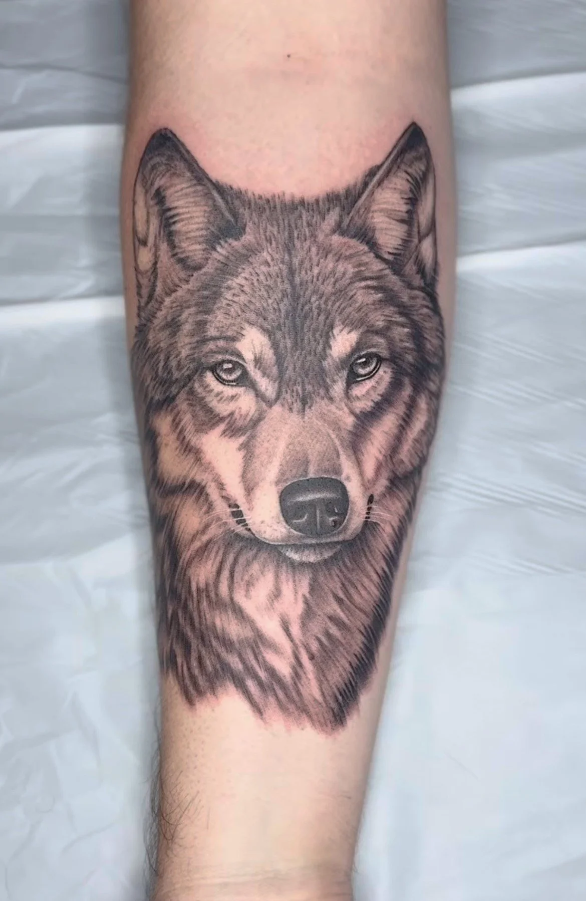 image_123655411 (3).JPG