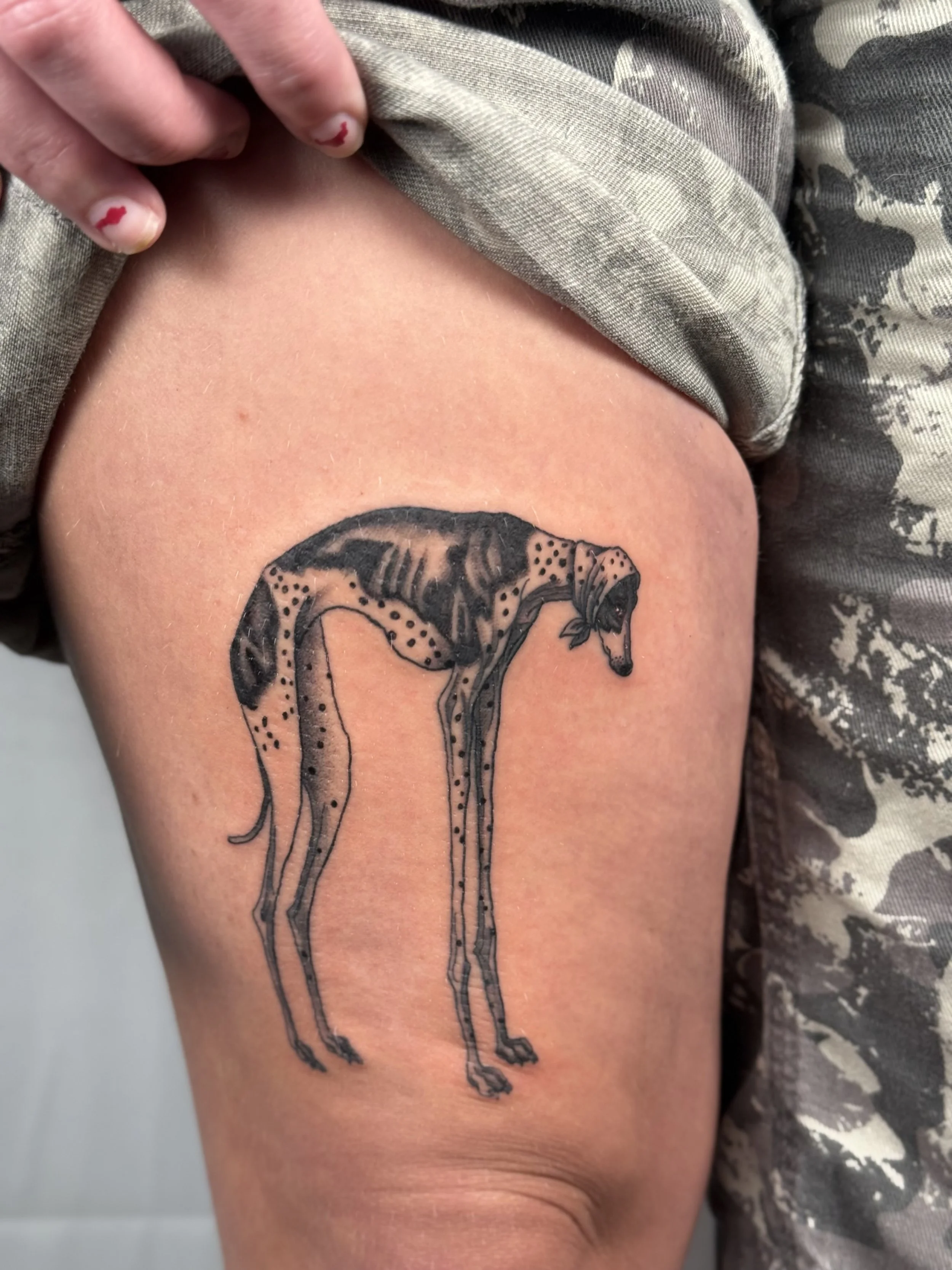 Black and gray tattoo of a giraffe on a person's upper arm, with its head bowed down and a bow in its mouth.