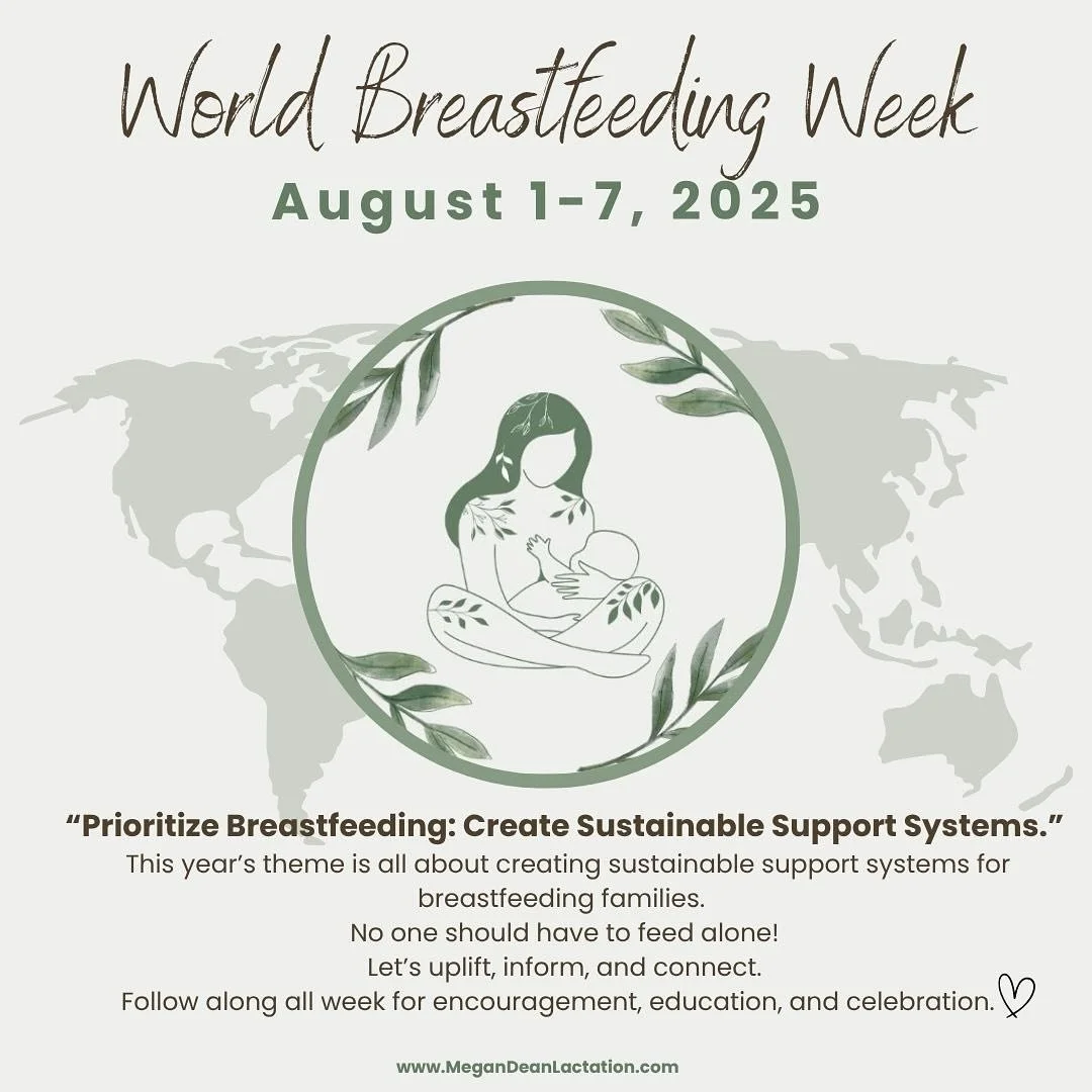 It’s World Breastfeeding Week! 
This year we’re highlighting how sustainable support makes all the difference in a family’s feeding journey.
Follow along all week as I share how Megan Dean Lactation is building a stronger, supported