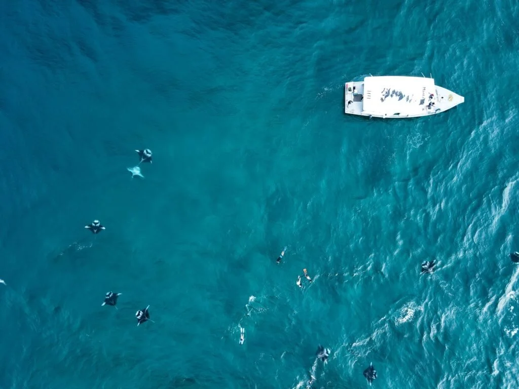 Credit: Christine Lozada