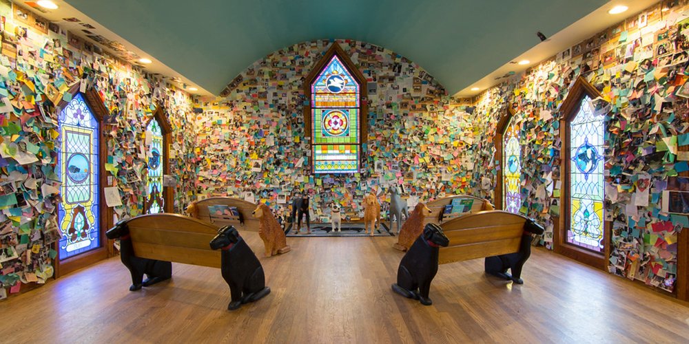 Image courtesy of Dog Mountian