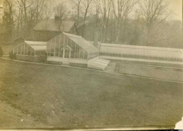 Greenhouses east of farm cottage, demolished 1920’s or 30’s