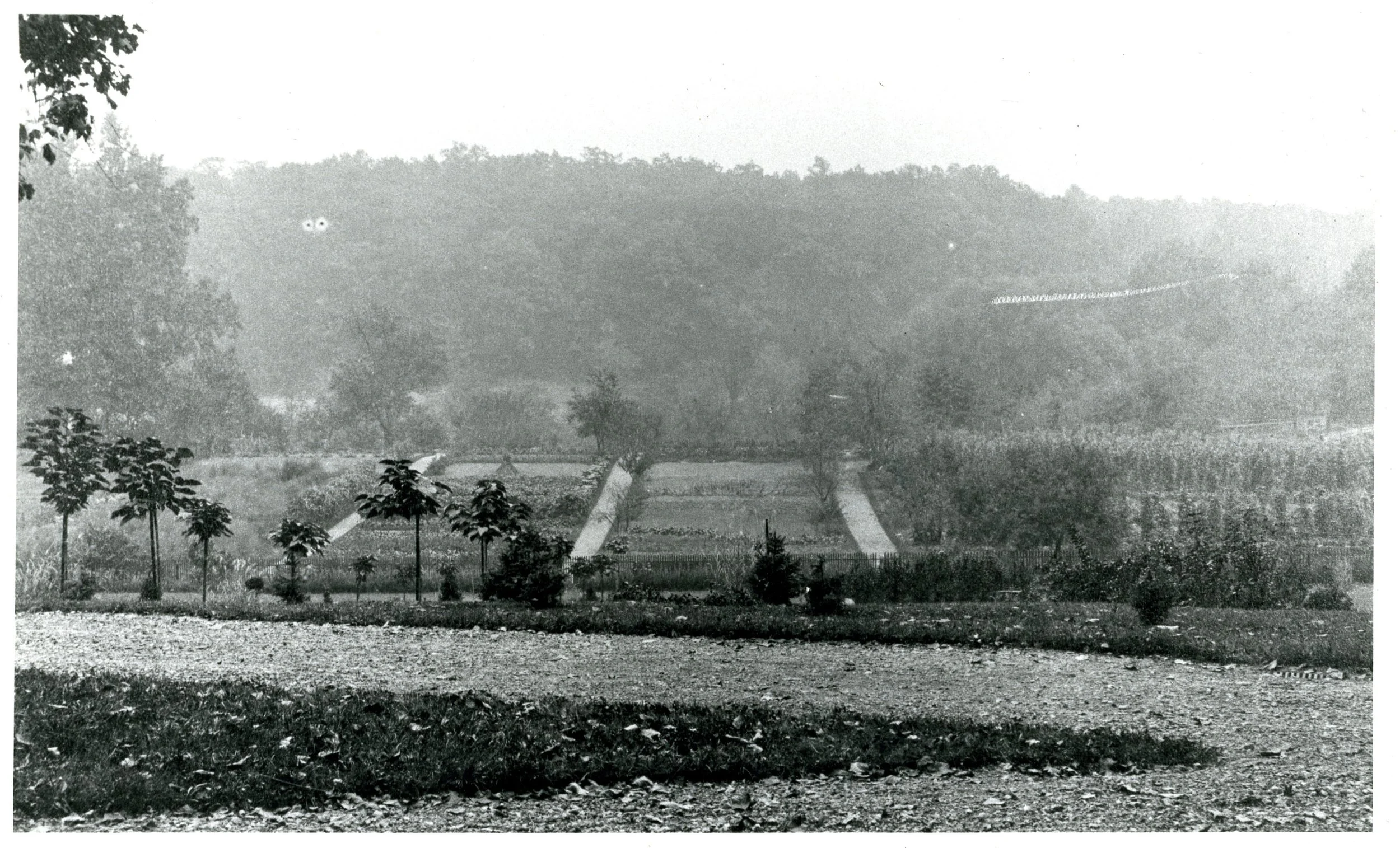 Looking east from farm cottage