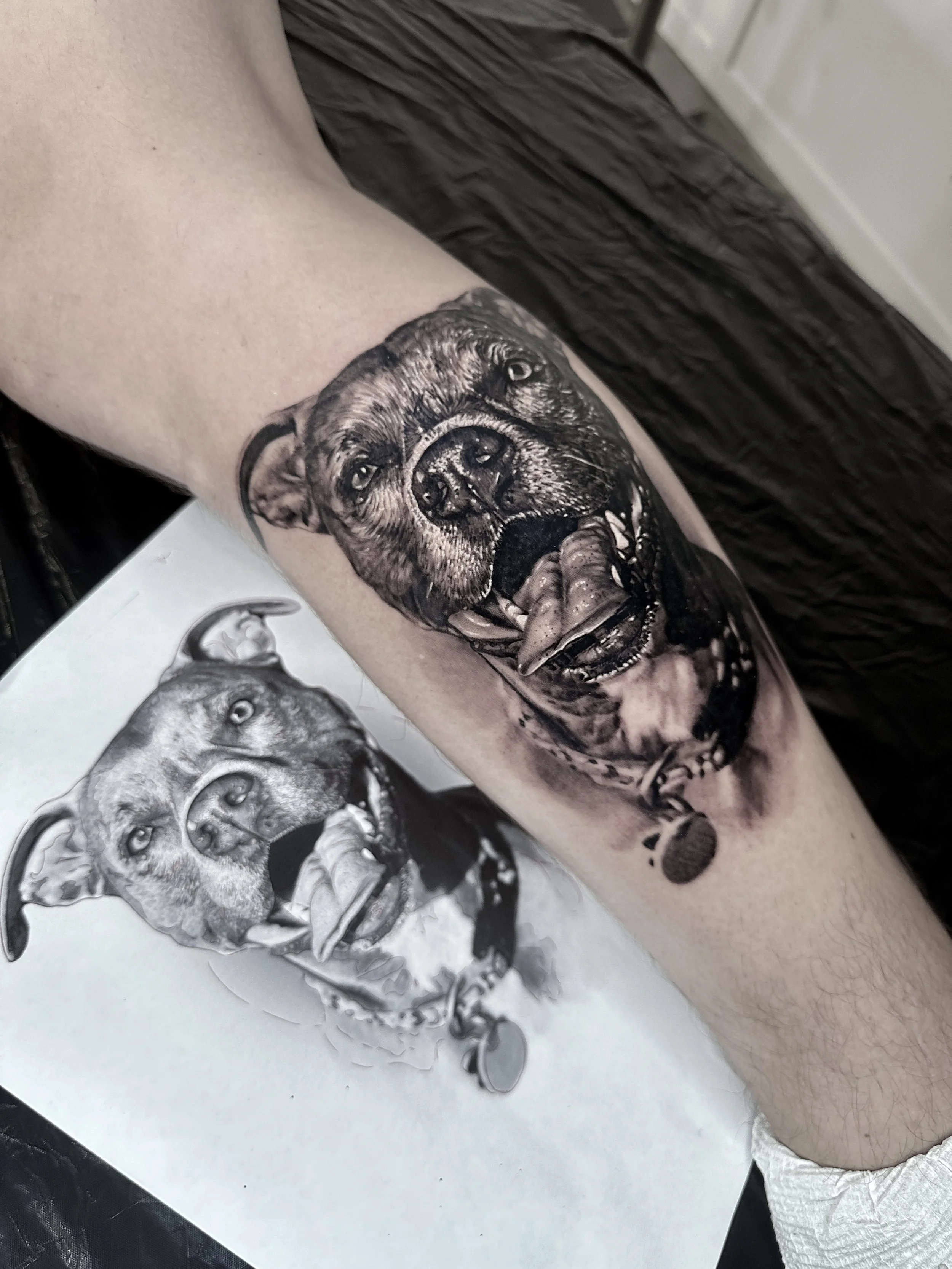 Close-up of a person's arm with a black and gray realistic dog tattoo on the inner forearm, depicting a dog's face with its mouth open, holding a bone.