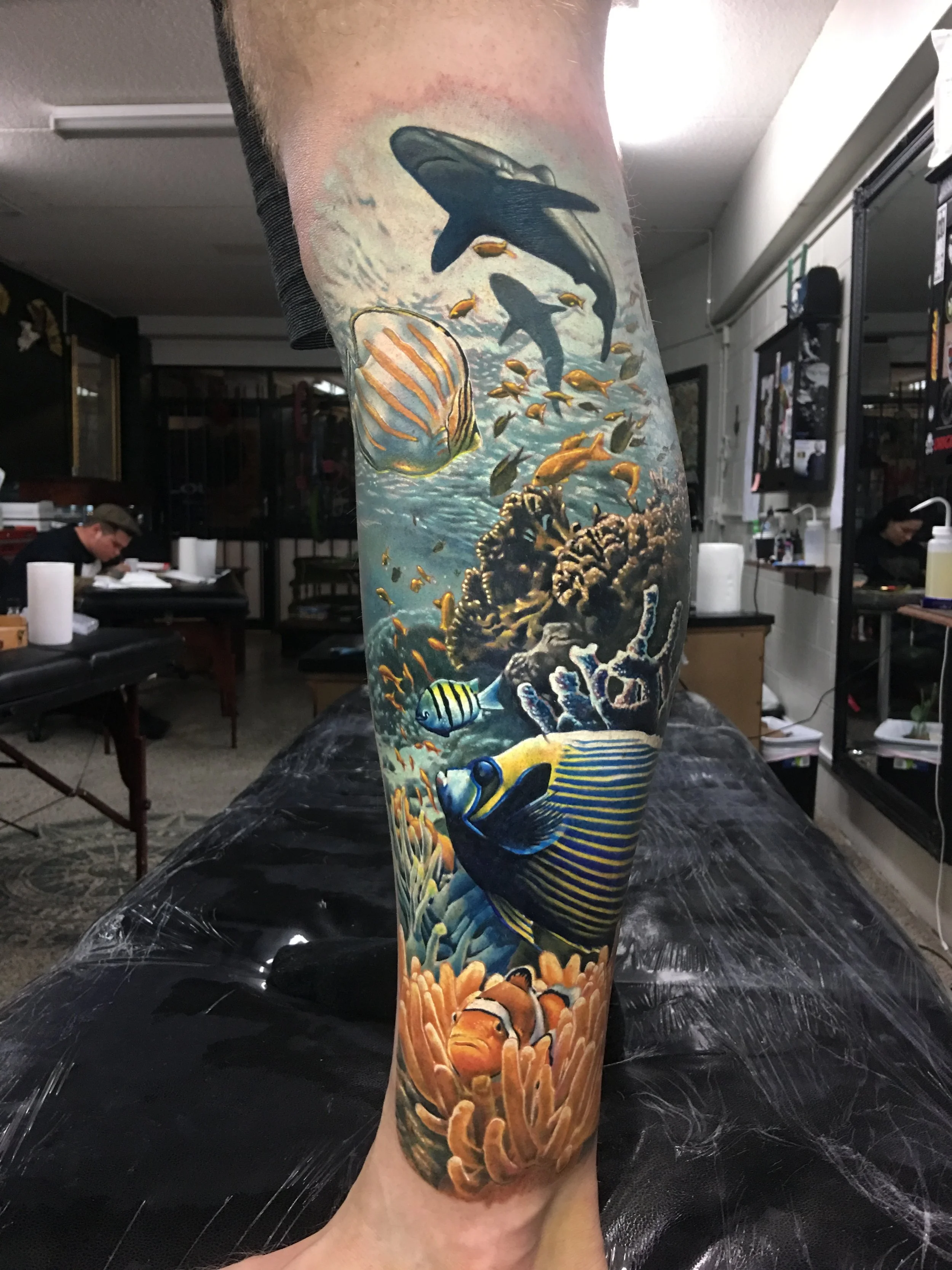 Colorful tattoo on person's leg depicting an ocean scene with dolphins, fish, coral, and sea anemones.